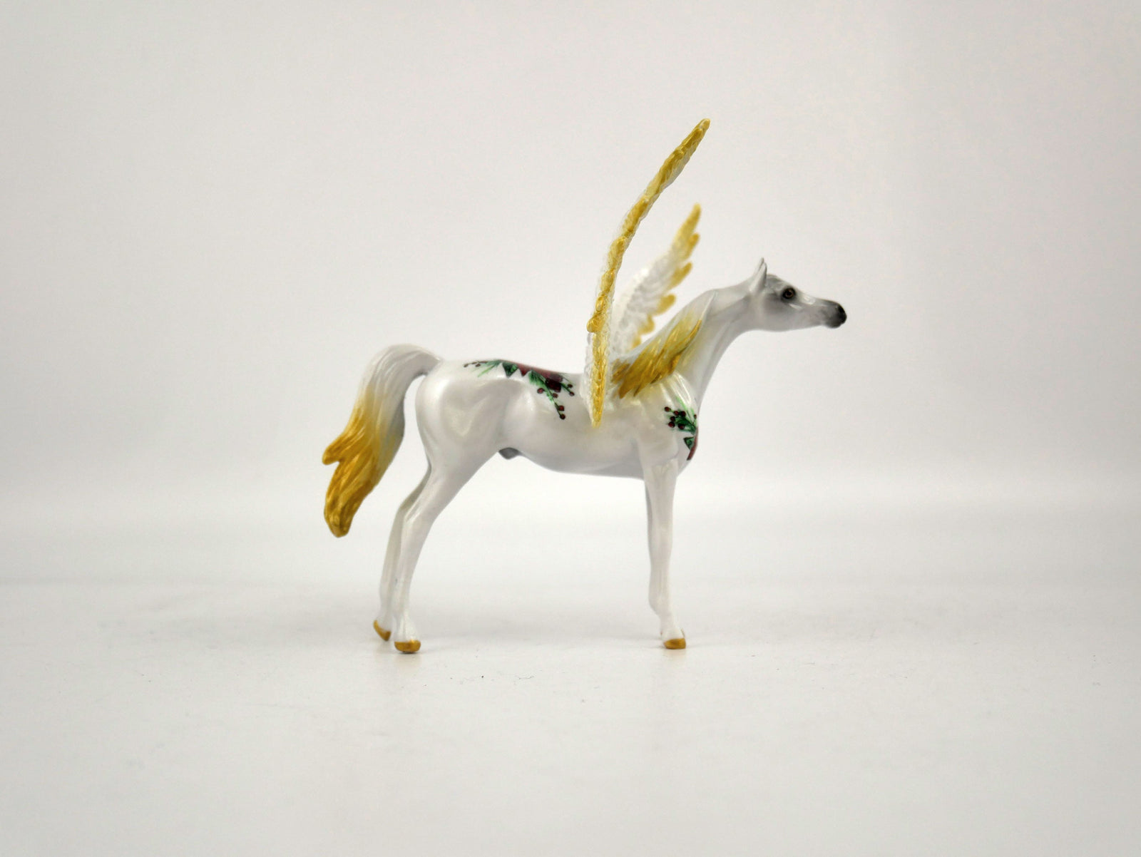 What is inside the Box>My Pointsettia 12/20