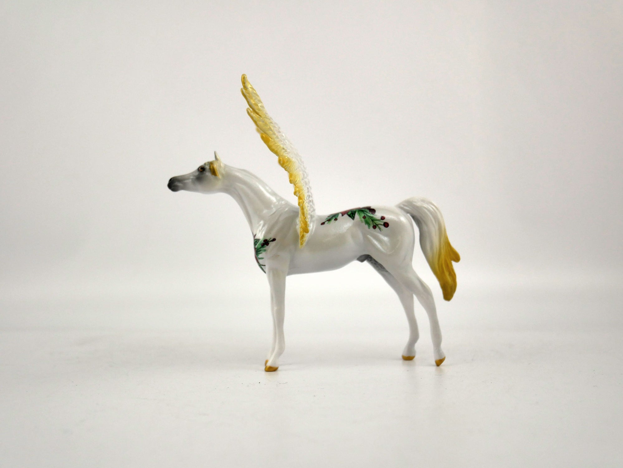 What is inside the Box&gt;My Pointsettia 12/20