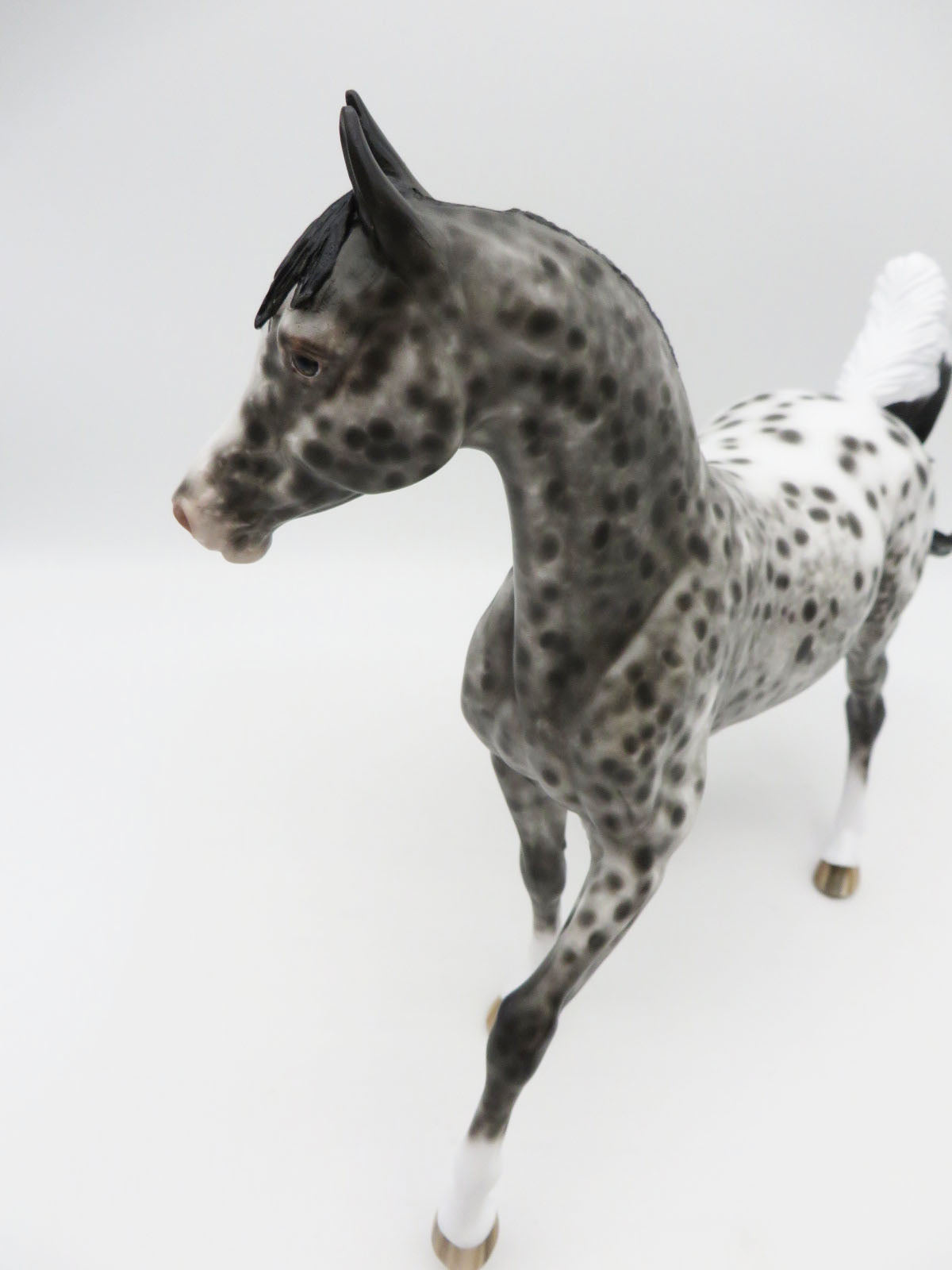 My She Was Yar - OOAK Appy Arabian Mare Painted by Sheryl Leisure 9/19/22