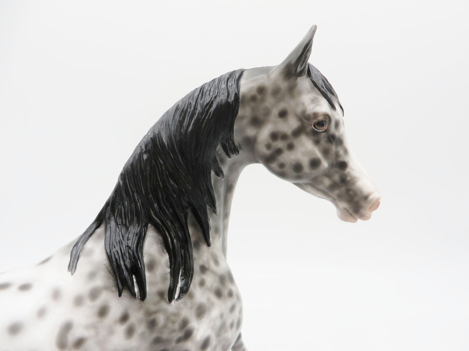 My She Was Yar - OOAK Appy Arabian Mare Painted by Sheryl Leisure 9/19/22