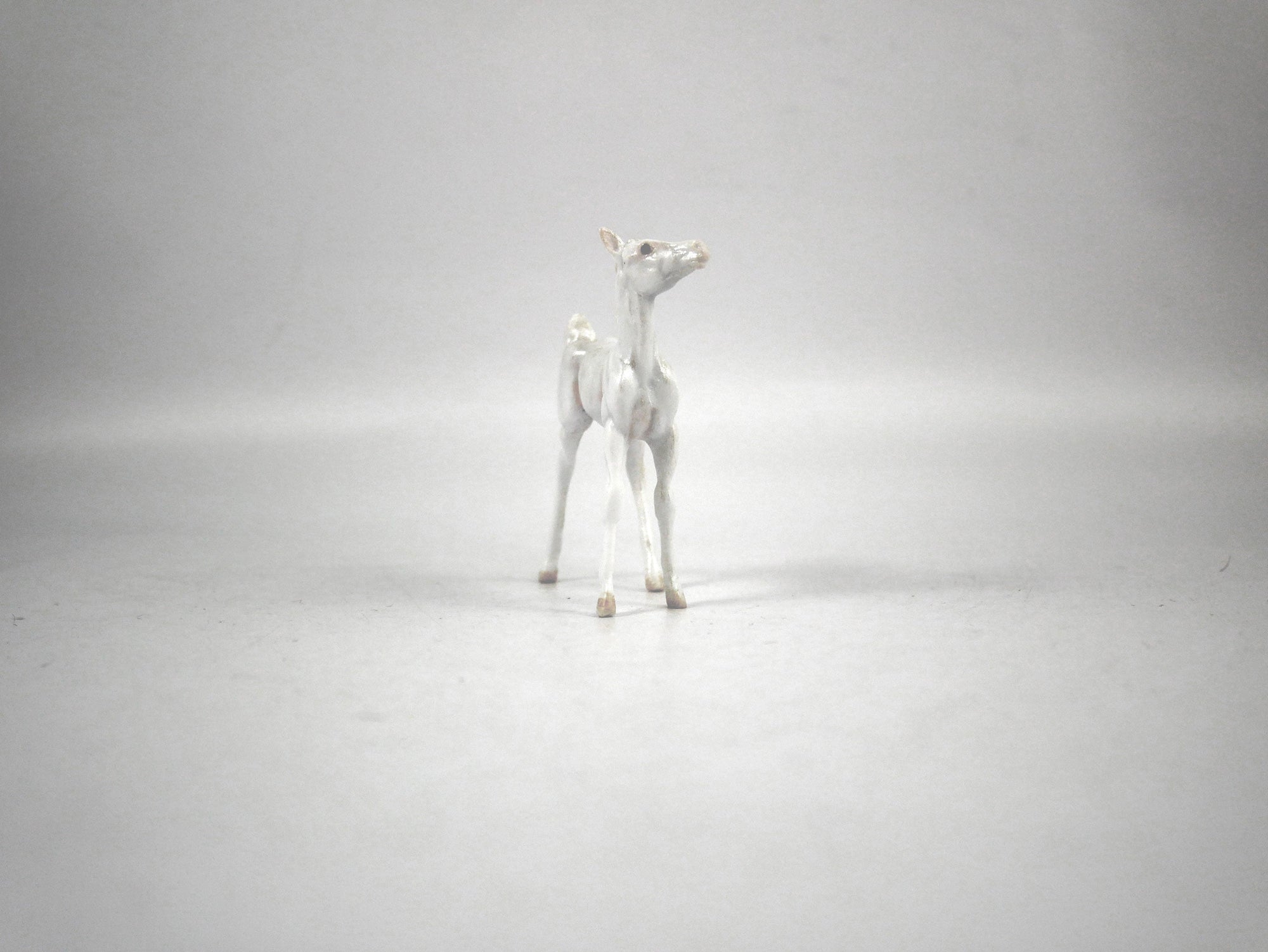 Myrrh-OOAK Deco Foal Chip By Andrea 12/30/20