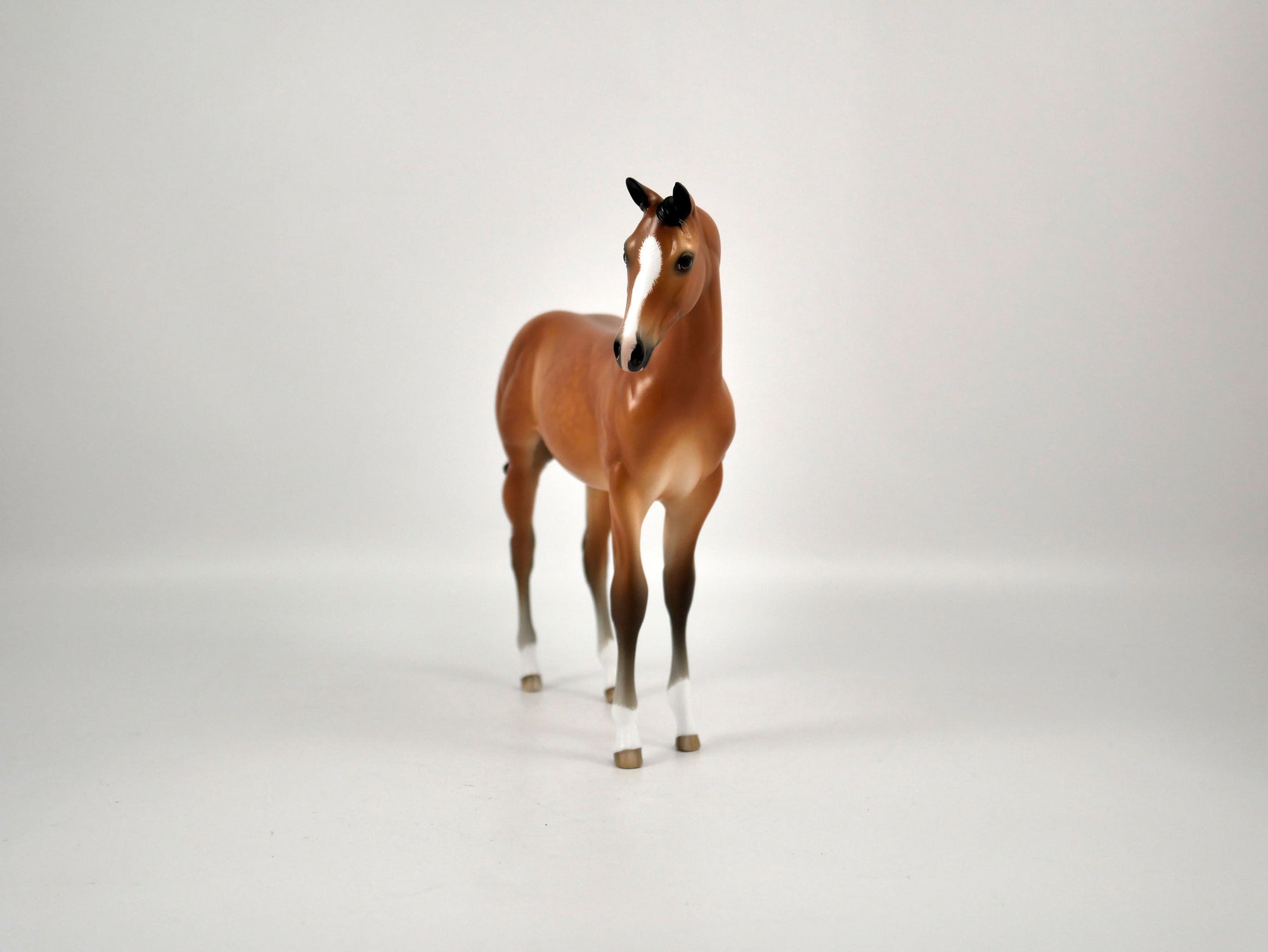 Myrrh-OOAK Dapple Bay Weanling  Painted By Sheryl Leisure 12/30/20