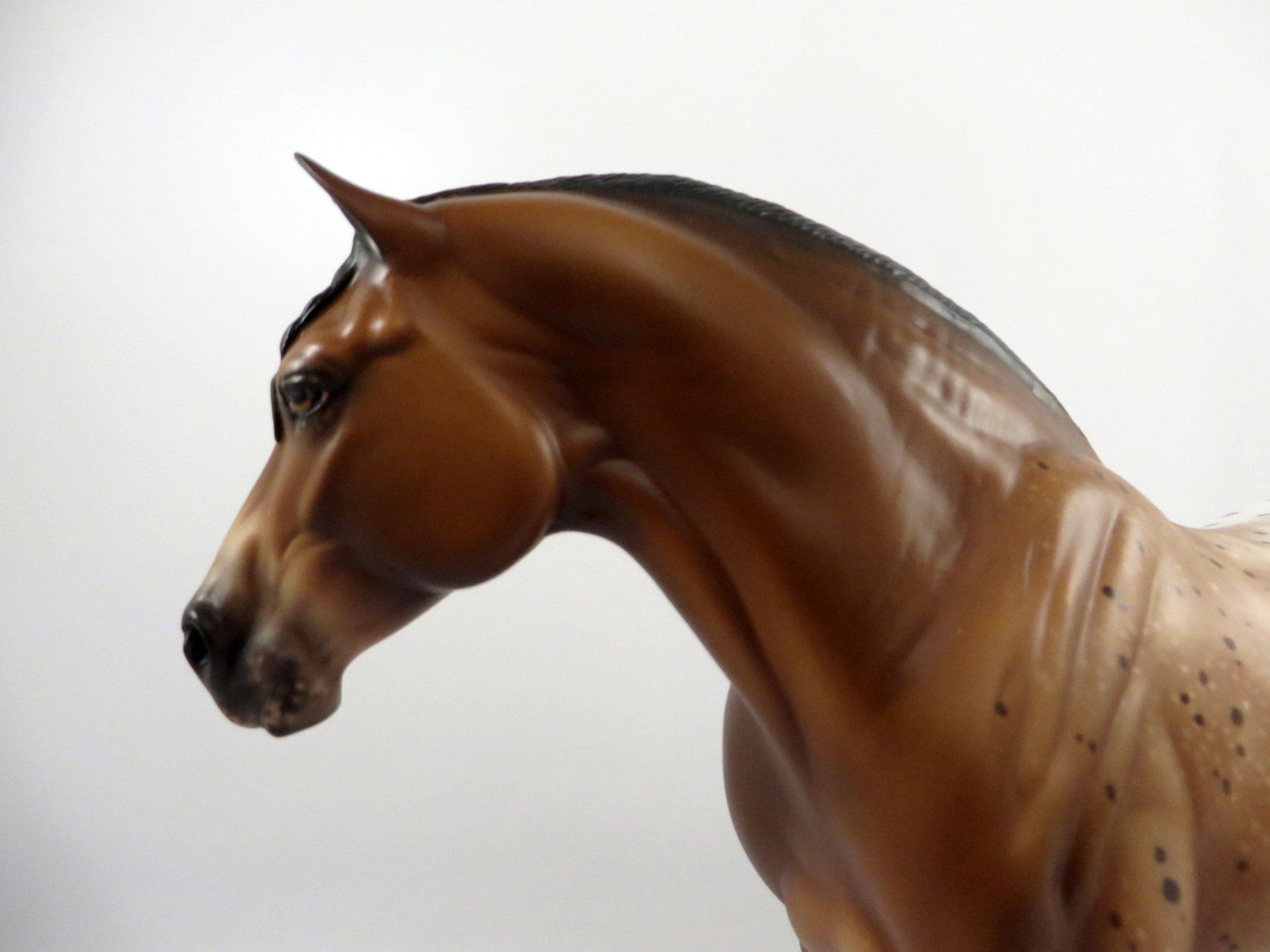 Mystify-OOAK Bay Appaloosa Mare Painted By Sheryl Leisure  2/25/21