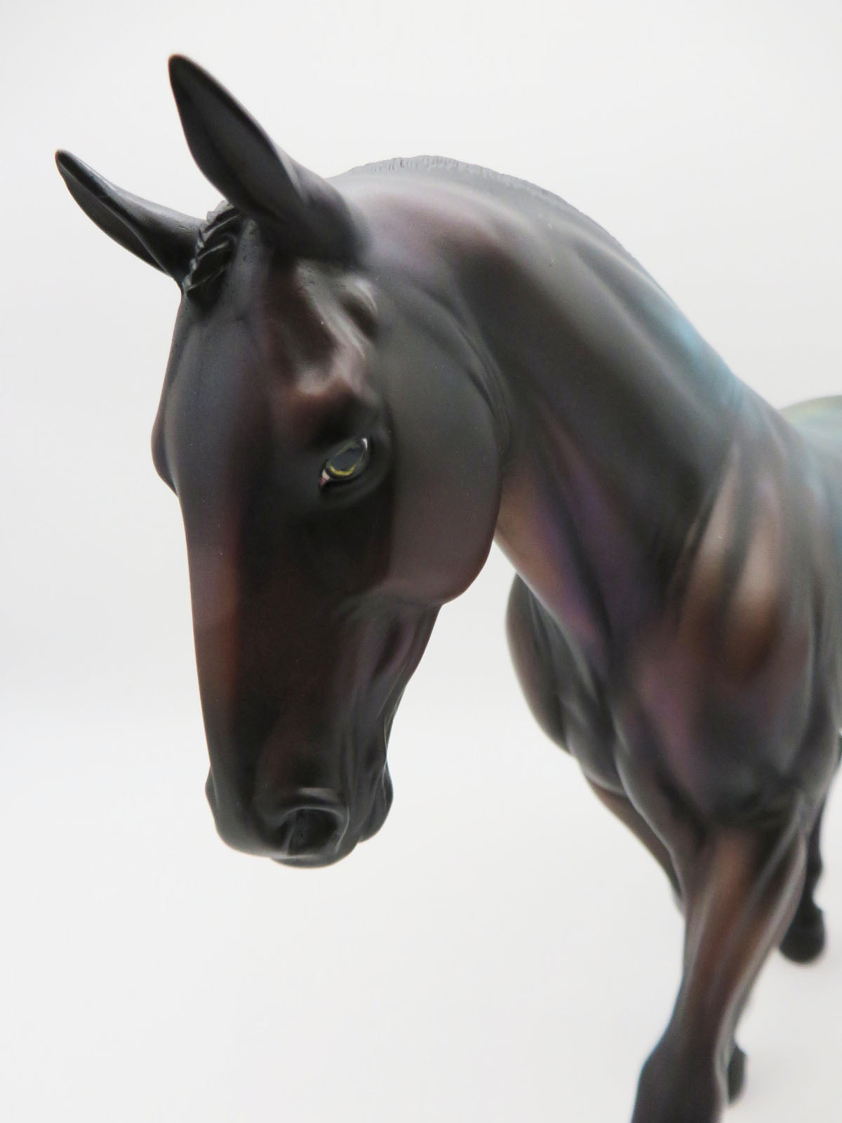 Naveen Shishira - OOAK - Decorator Irish Draft by Renee Justiss Best Offers 1/9/23