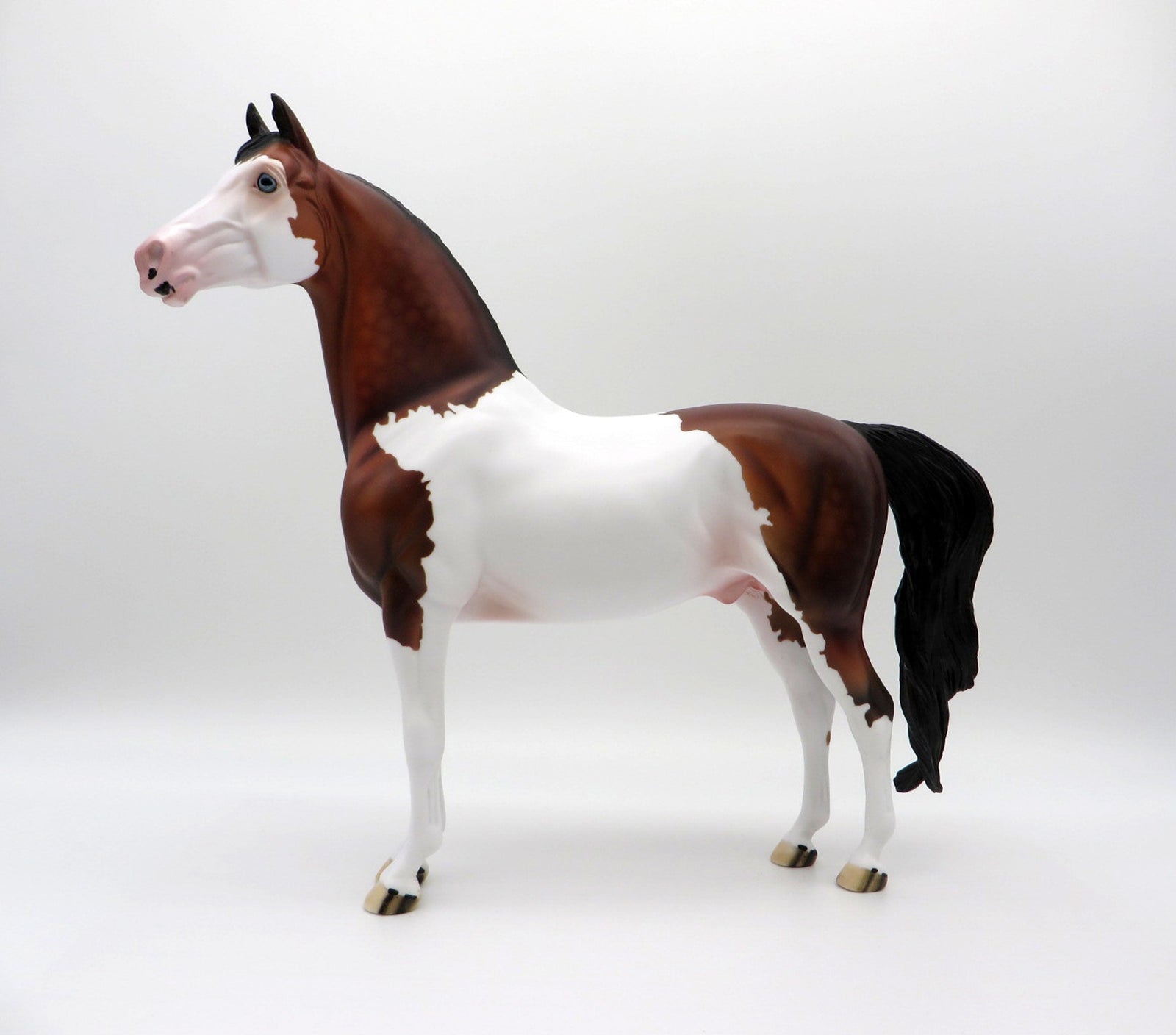 Neige-OOAK Dapple Bay Paint Morgan SHCF 2021