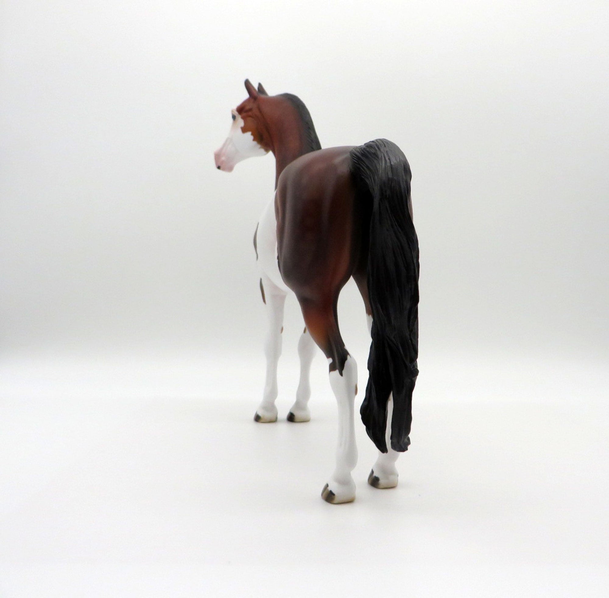 Neige-OOAK Dapple Bay Paint Morgan SHCF 2021