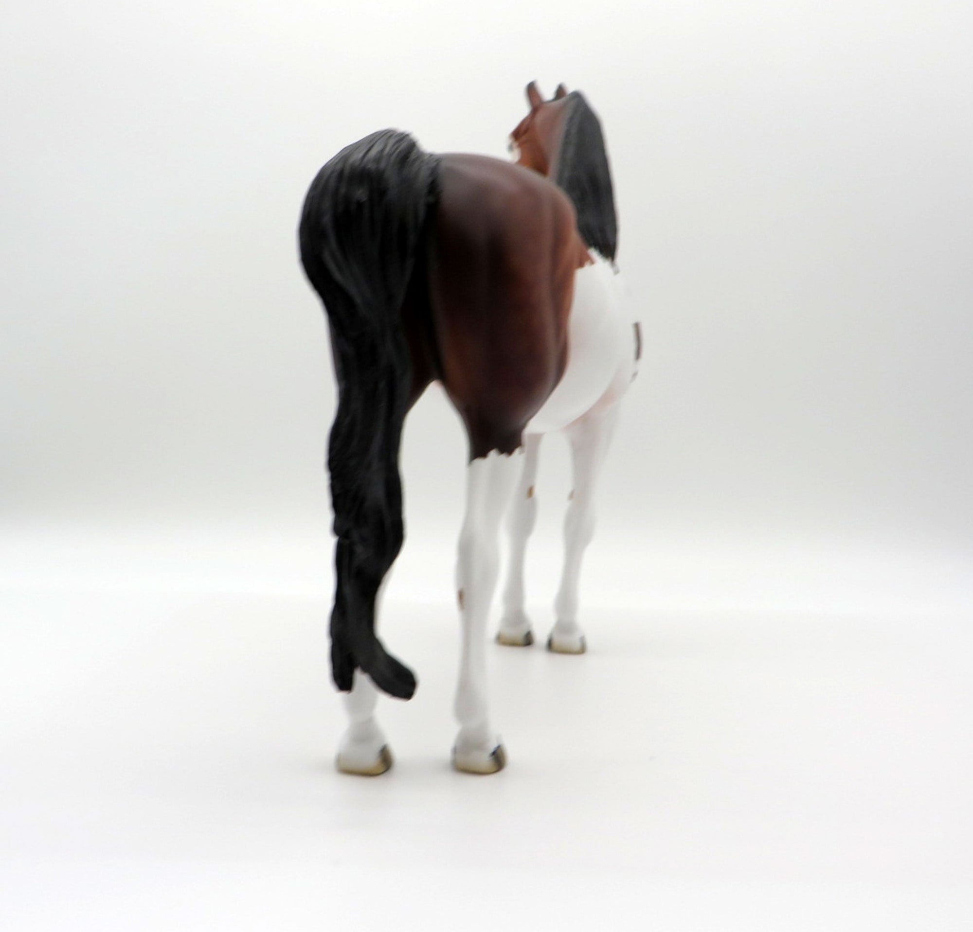 Neige-OOAK Dapple Bay Paint Morgan SHCF 2021