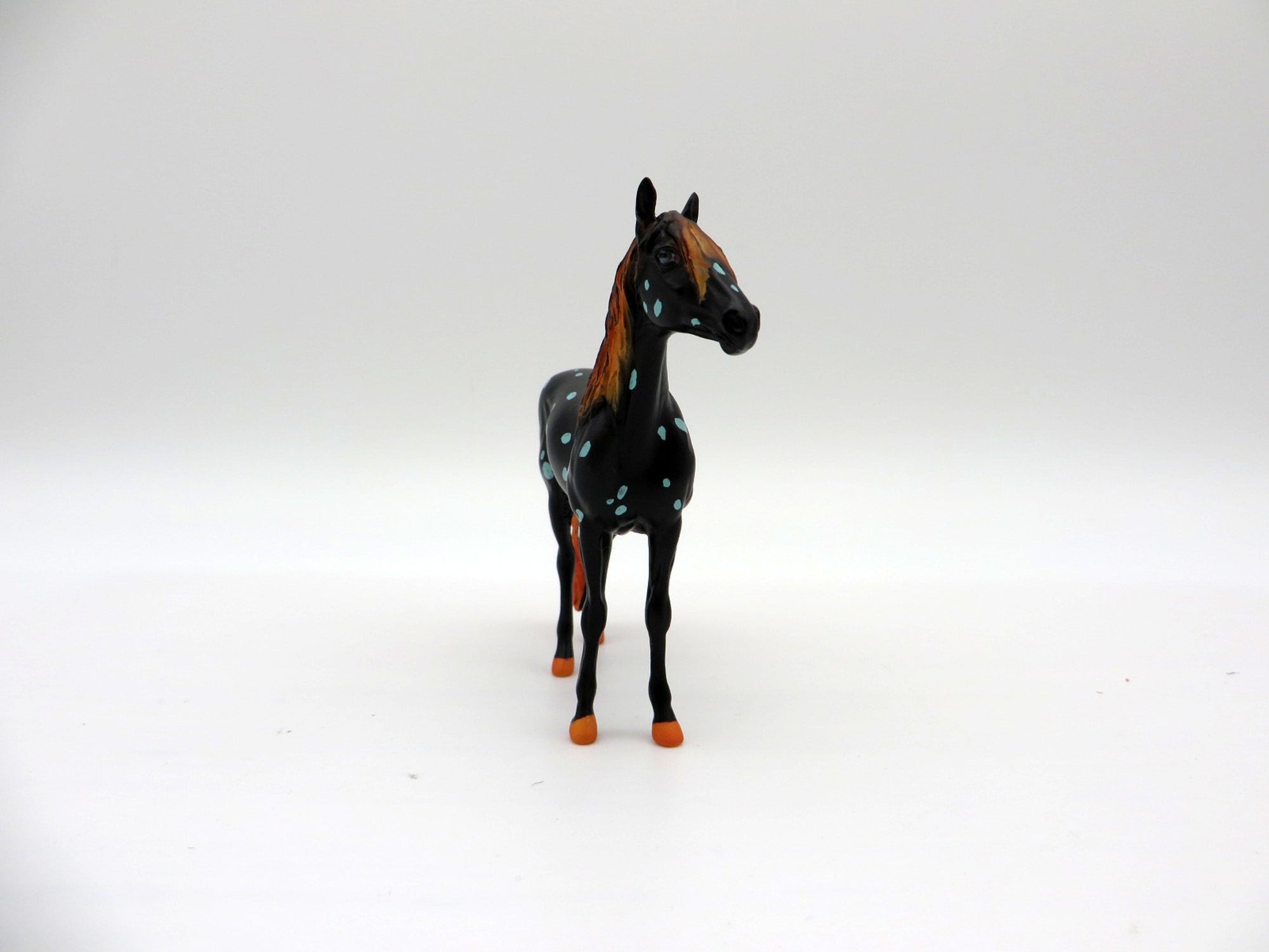 Newbrotha-OOAK Deco Andalusian Chip Shark Week 7/12/21