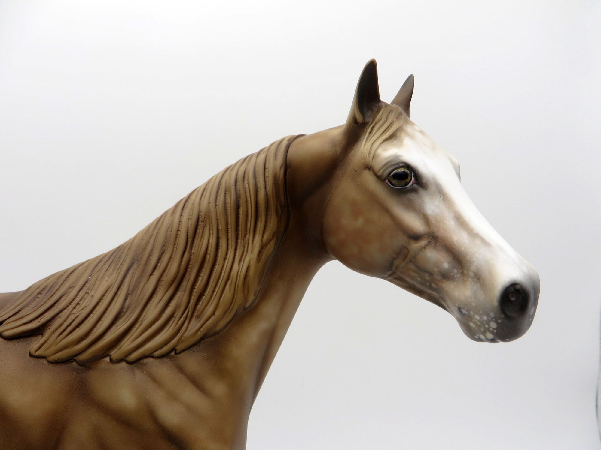 Nevada Gold-OOAK Palomino Appaloosa ISH Equilocity 2021 Painted by Al