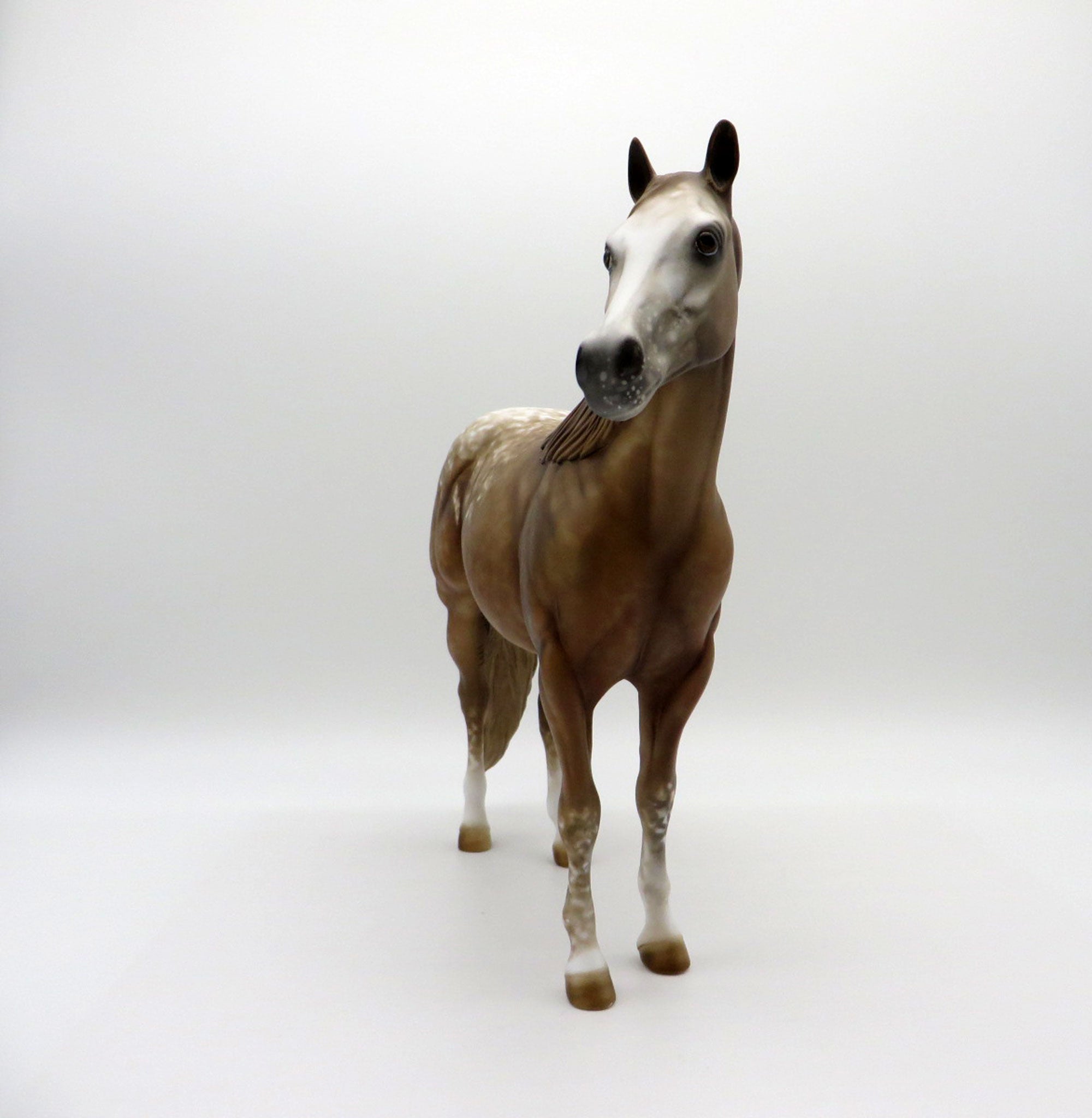 Nevada Gold-OOAK Palomino Appaloosa ISH Equilocity 2021 Painted by Al