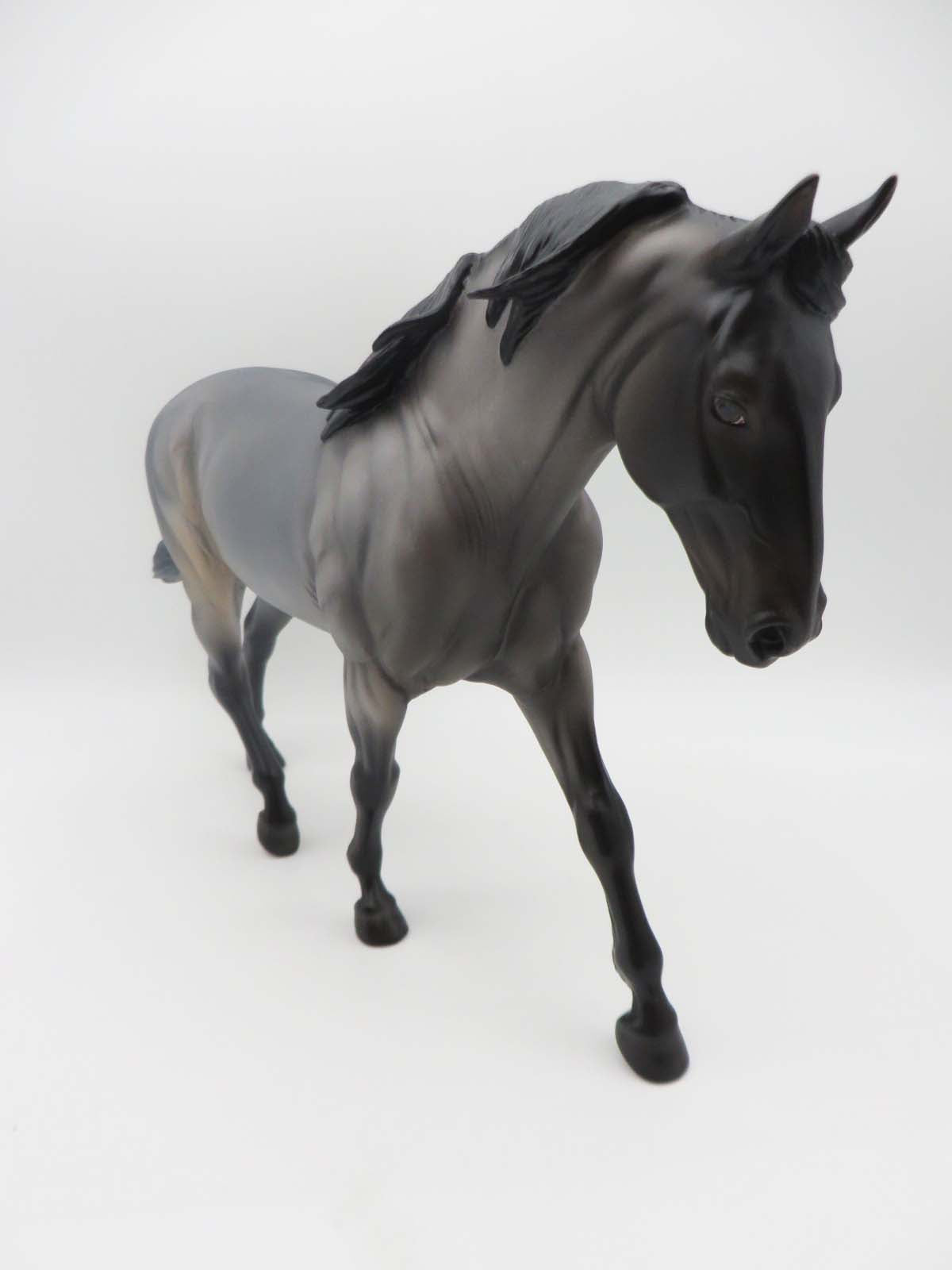 Nico - OOAK - Bay Roan/Bluetick Irish Draft By Ellen Robbins - P&amp;C 23