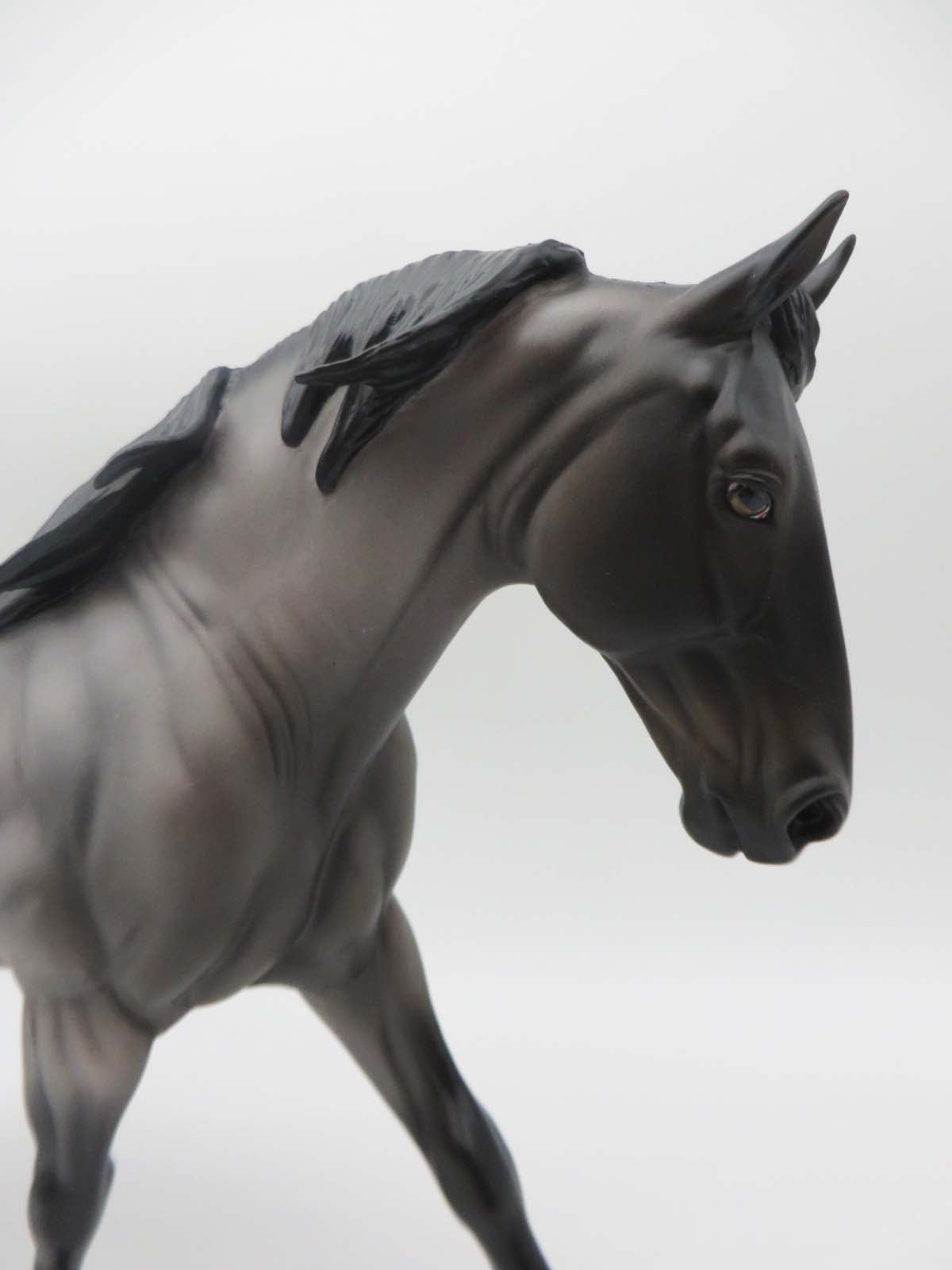 Nico - OOAK - Bay Roan/Bluetick Irish Draft By Ellen Robbins - P&amp;C 23