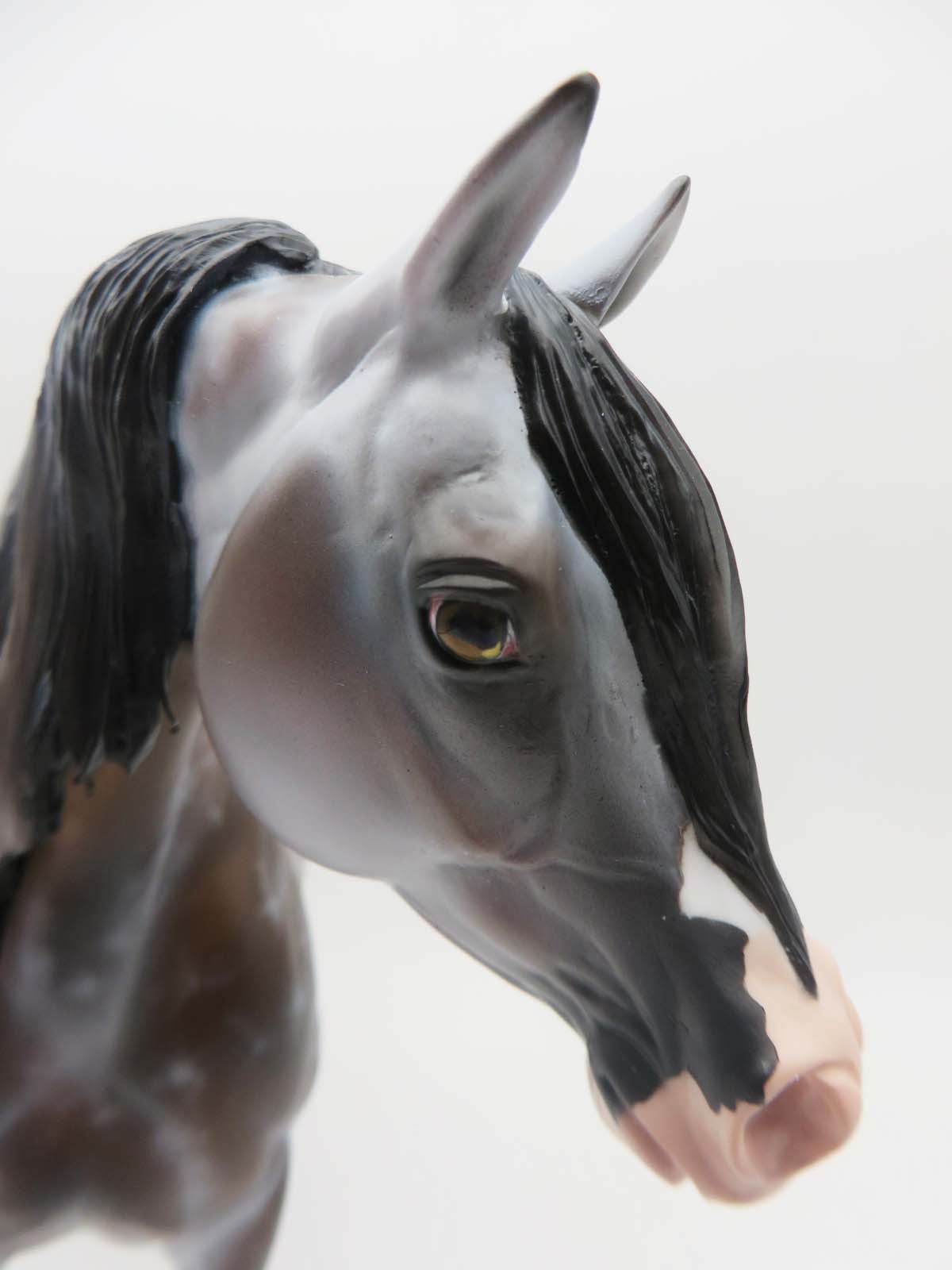 Niebieski-OOAK Bay going grey Arabian Stallion By Myla Pearce Best Offer 5/15/23