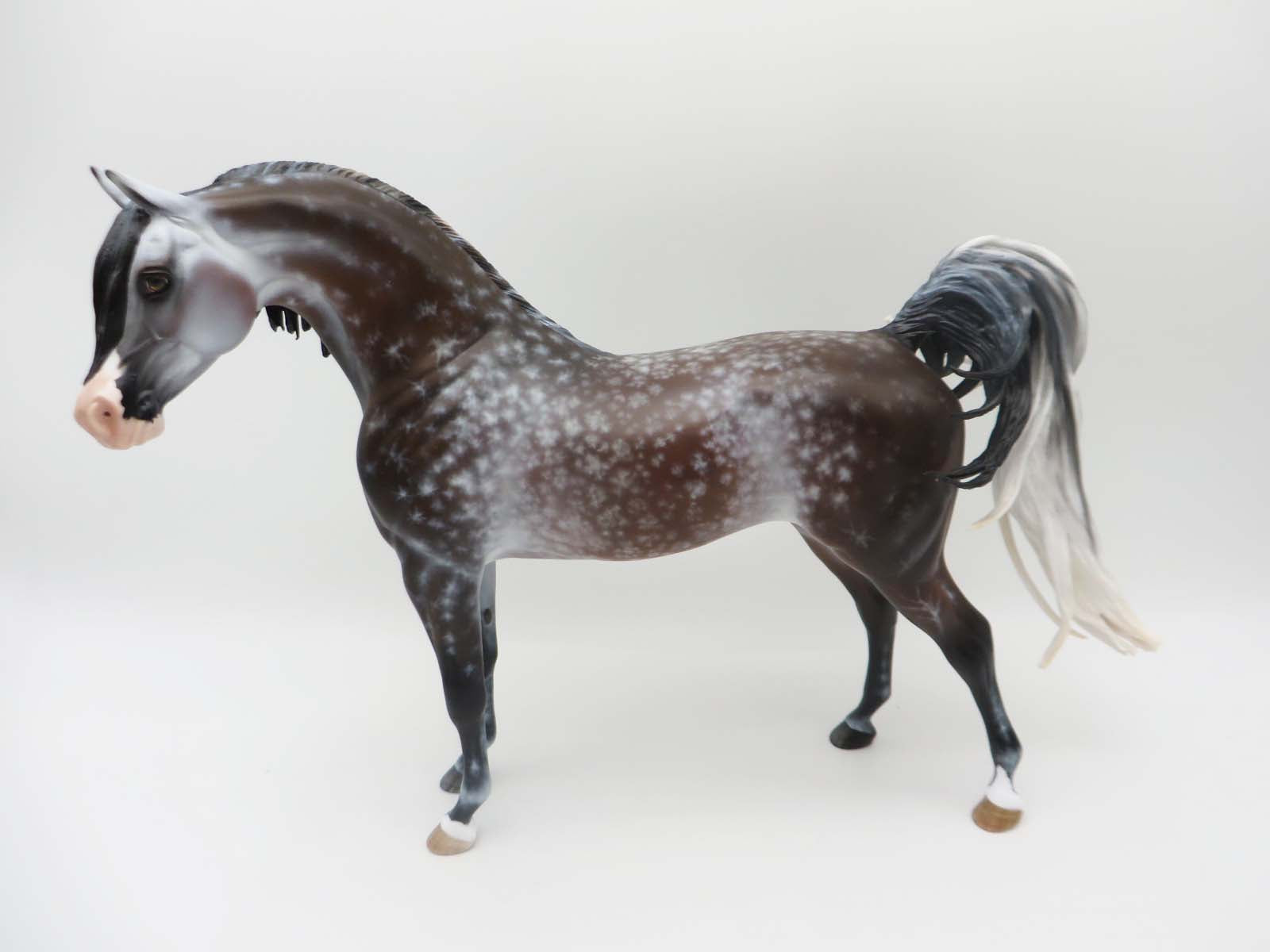 Niebieski-OOAK Bay going grey Arabian Stallion By Myla Pearce Best Offer 5/15/23