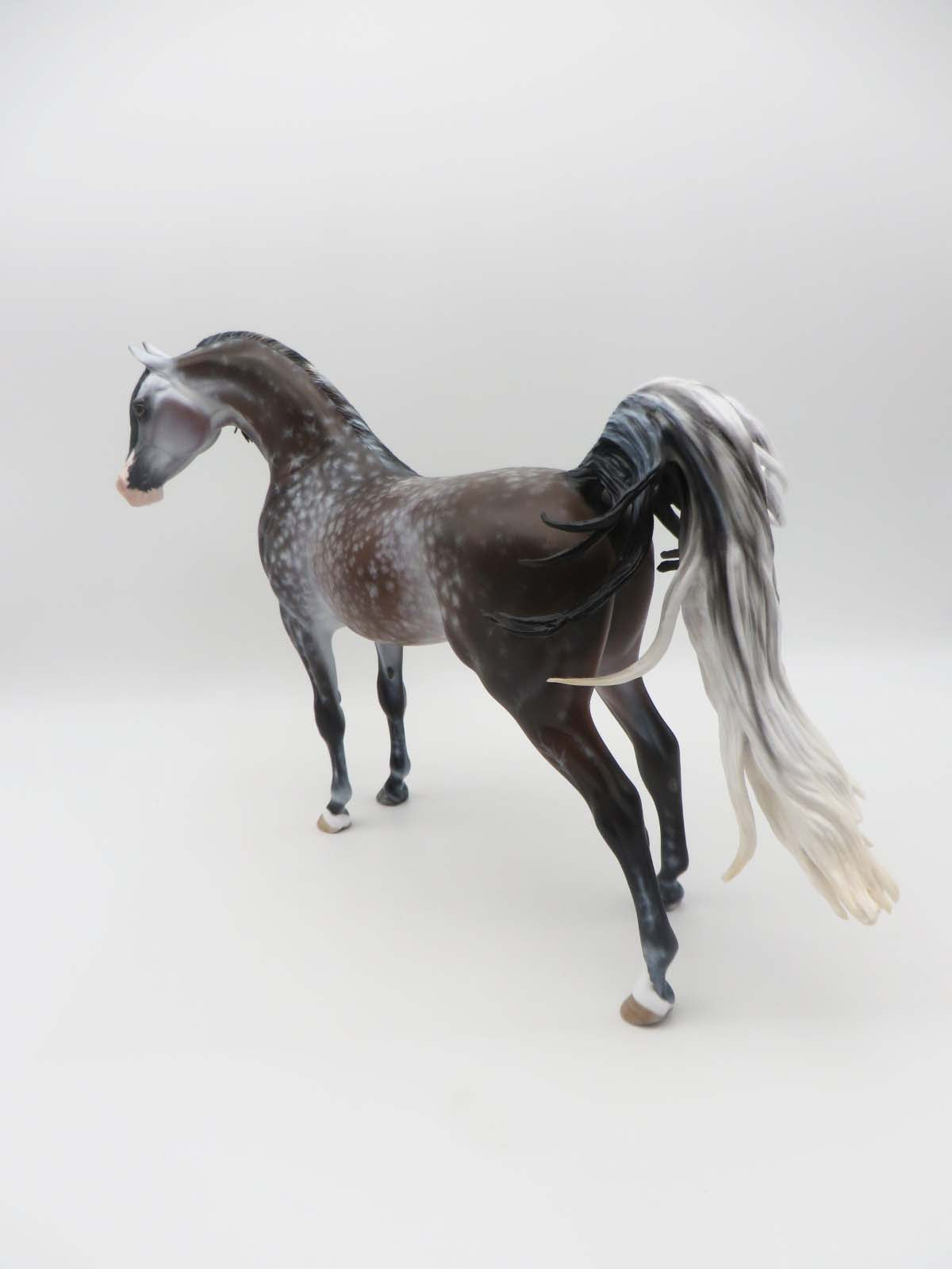 Niebieski-OOAK Bay going grey Arabian Stallion By Myla Pearce Best Offer 5/15/23