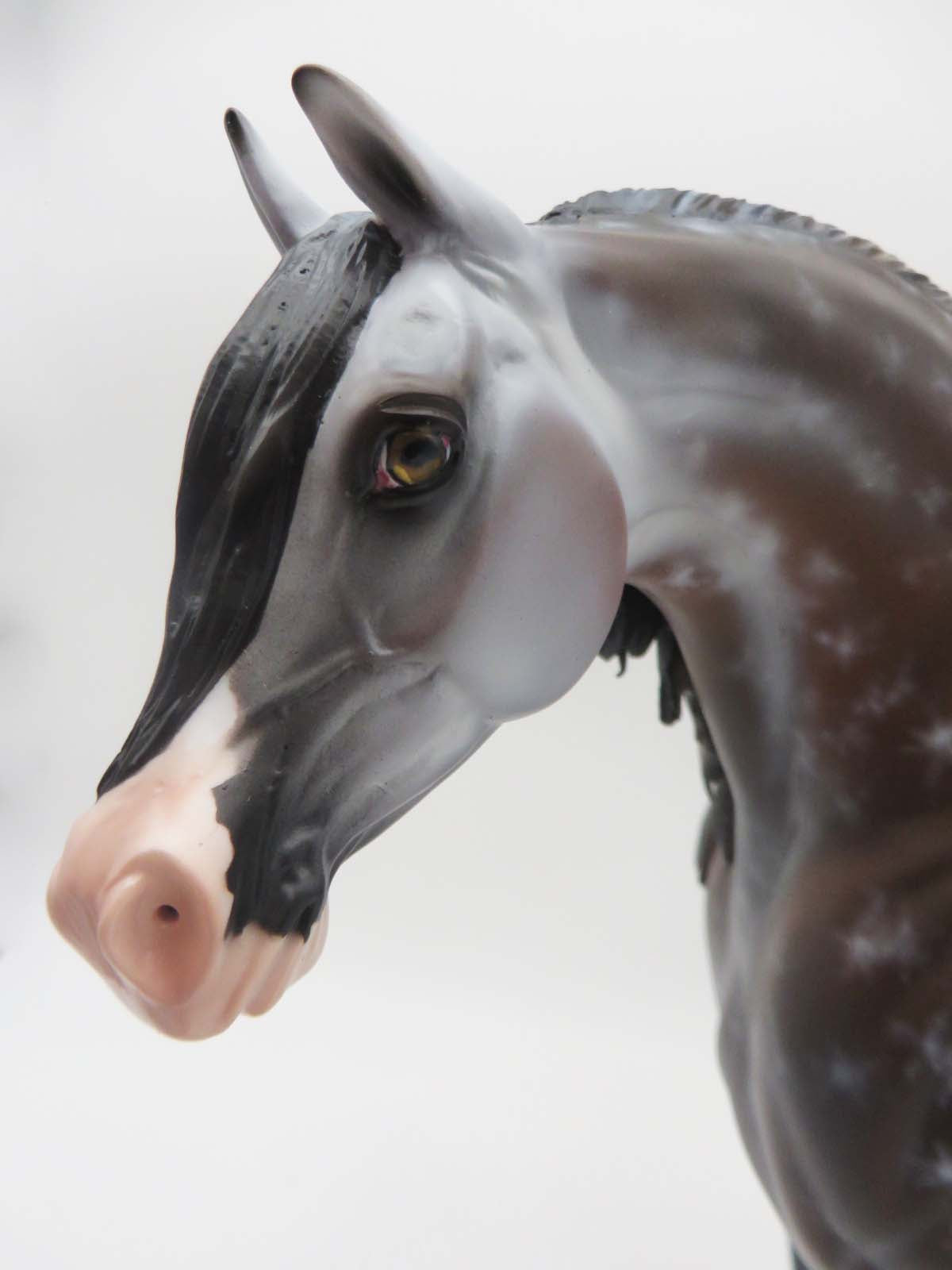 Niebieski-OOAK Bay going grey Arabian Stallion By Myla Pearce Best Offer 5/15/23