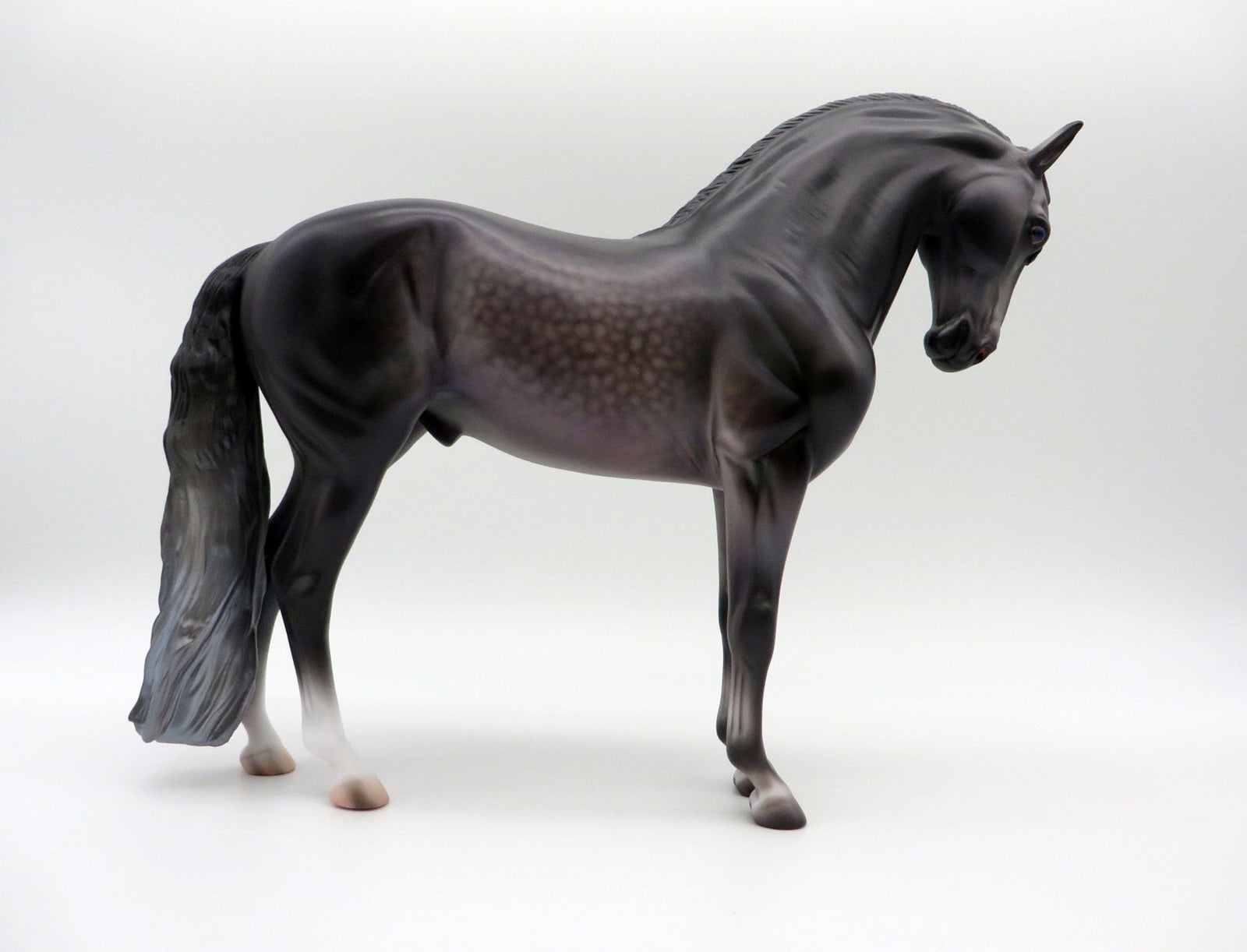 Niger-OOAK Andalusian By Caroline Boydston