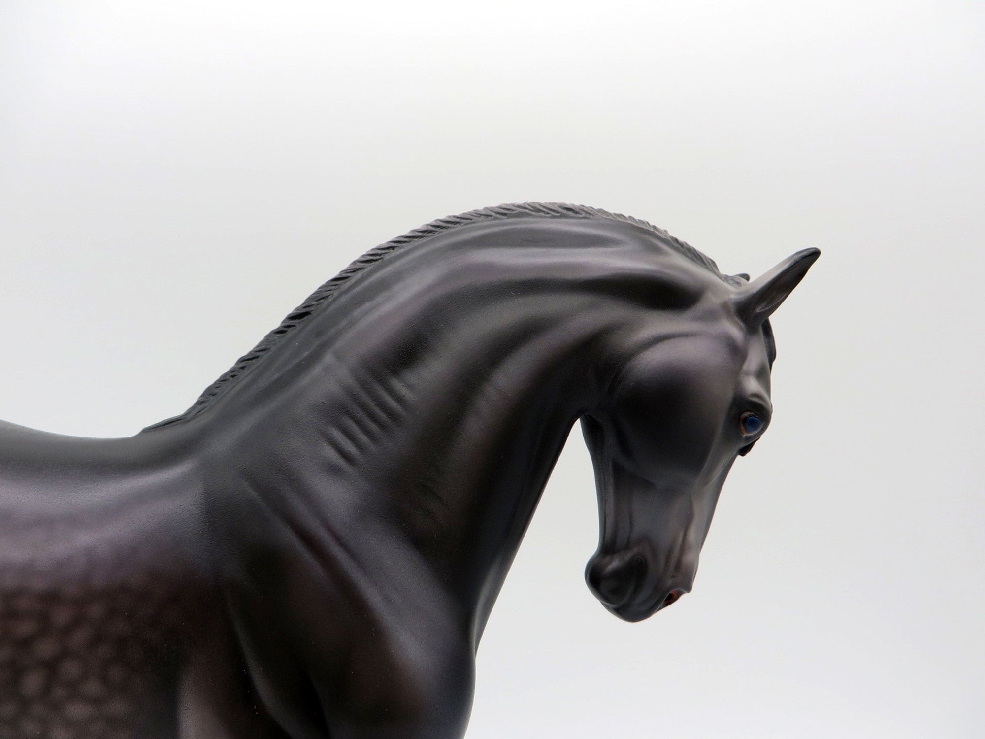 Niger-OOAK Andalusian By Caroline Boydston