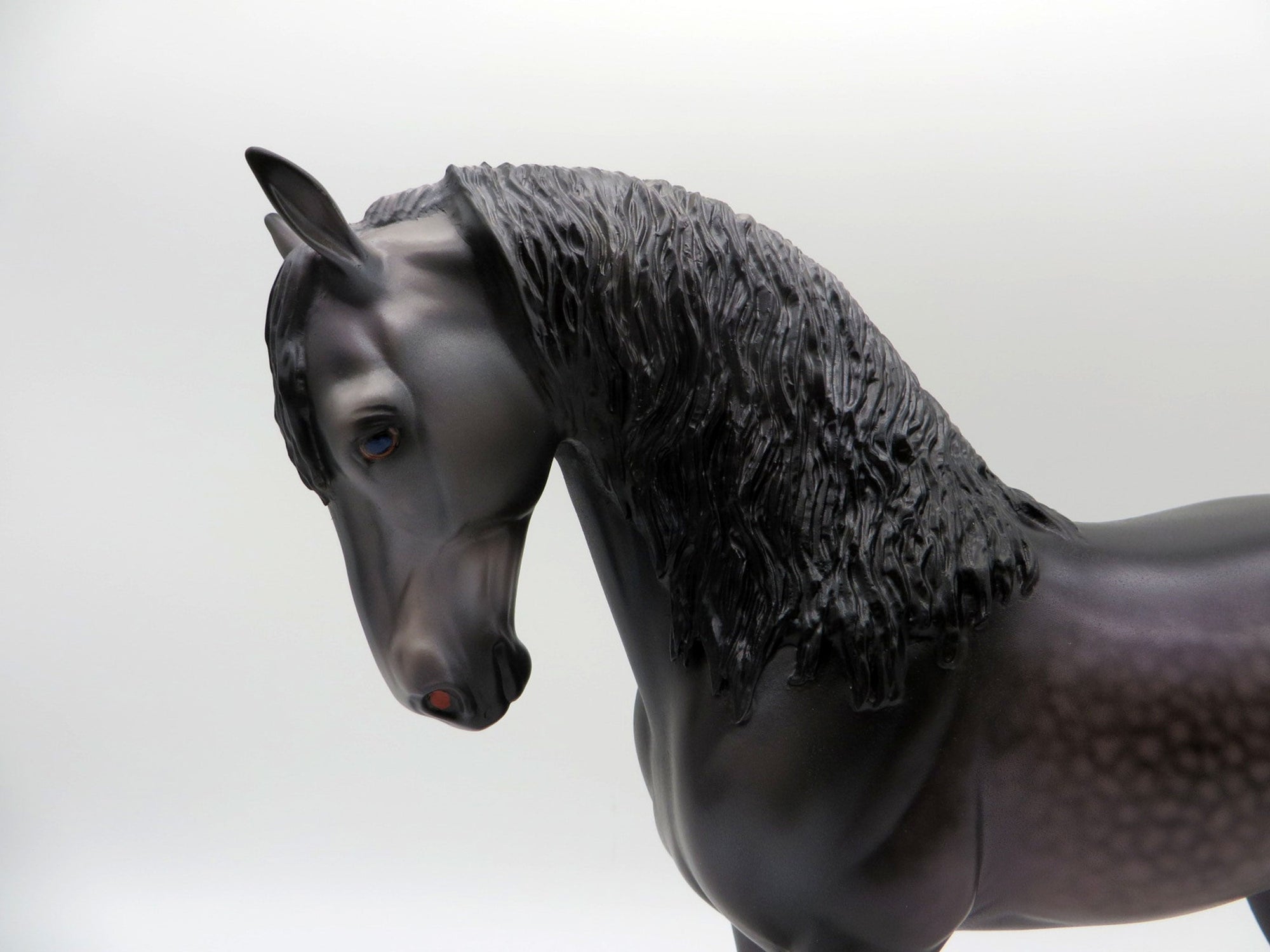 Niger-OOAK Andalusian By Caroline Boydston