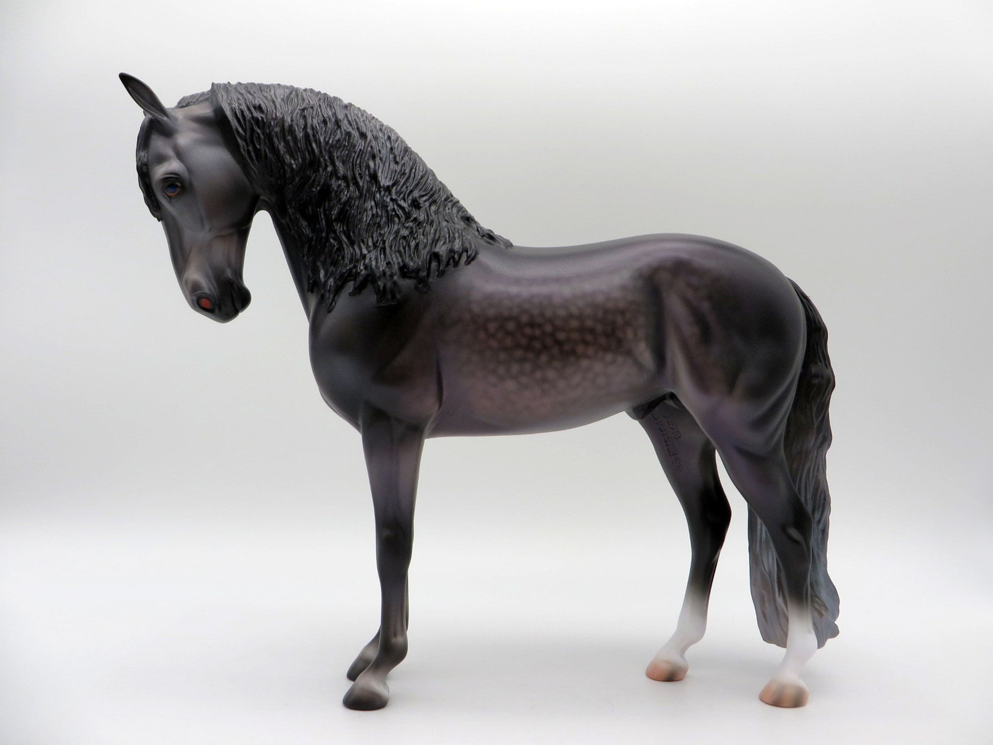 Niger-OOAK Andalusian By Caroline Boydston