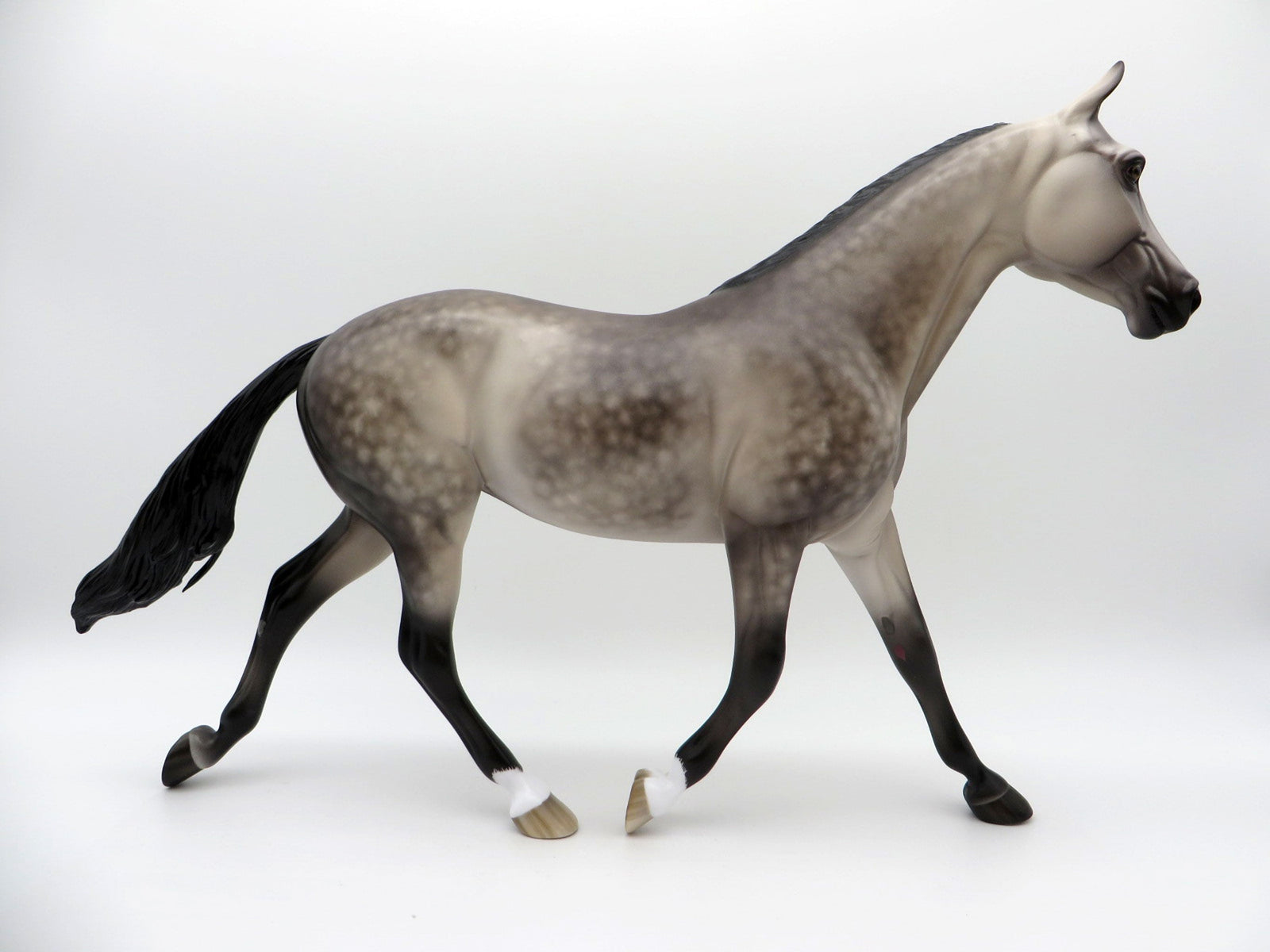 Night Fever-OOAK Dusty Buckskin Palouse Painted by Sheryl Leisure 7/26/21