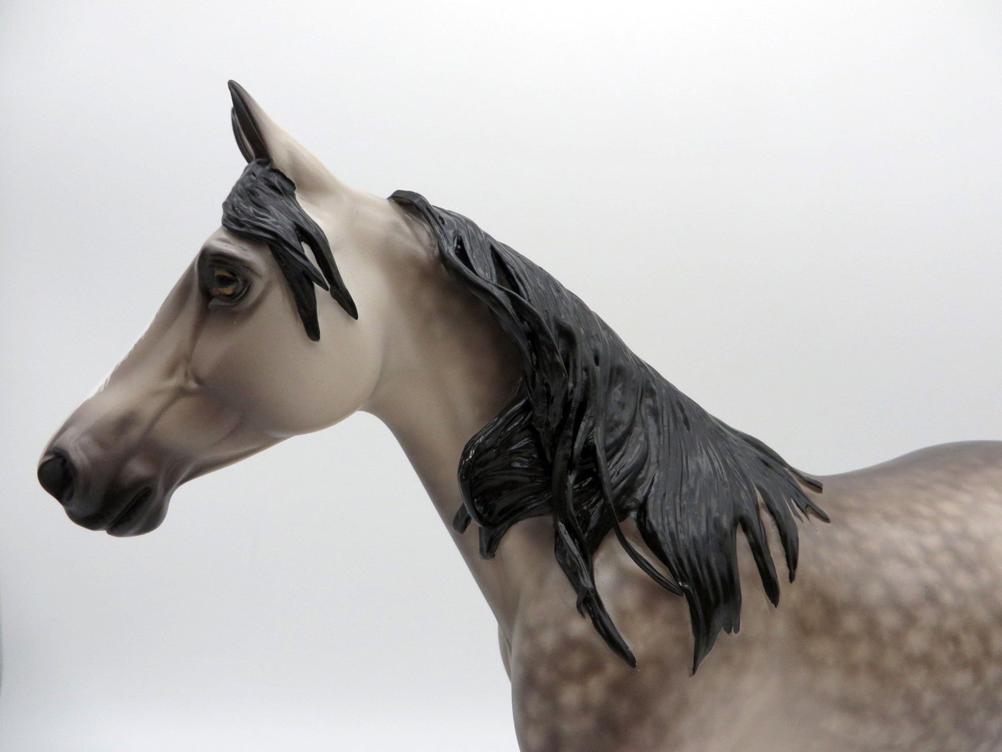 Night Fever-OOAK Dusty Buckskin Palouse Painted by Sheryl Leisure 7/26/21