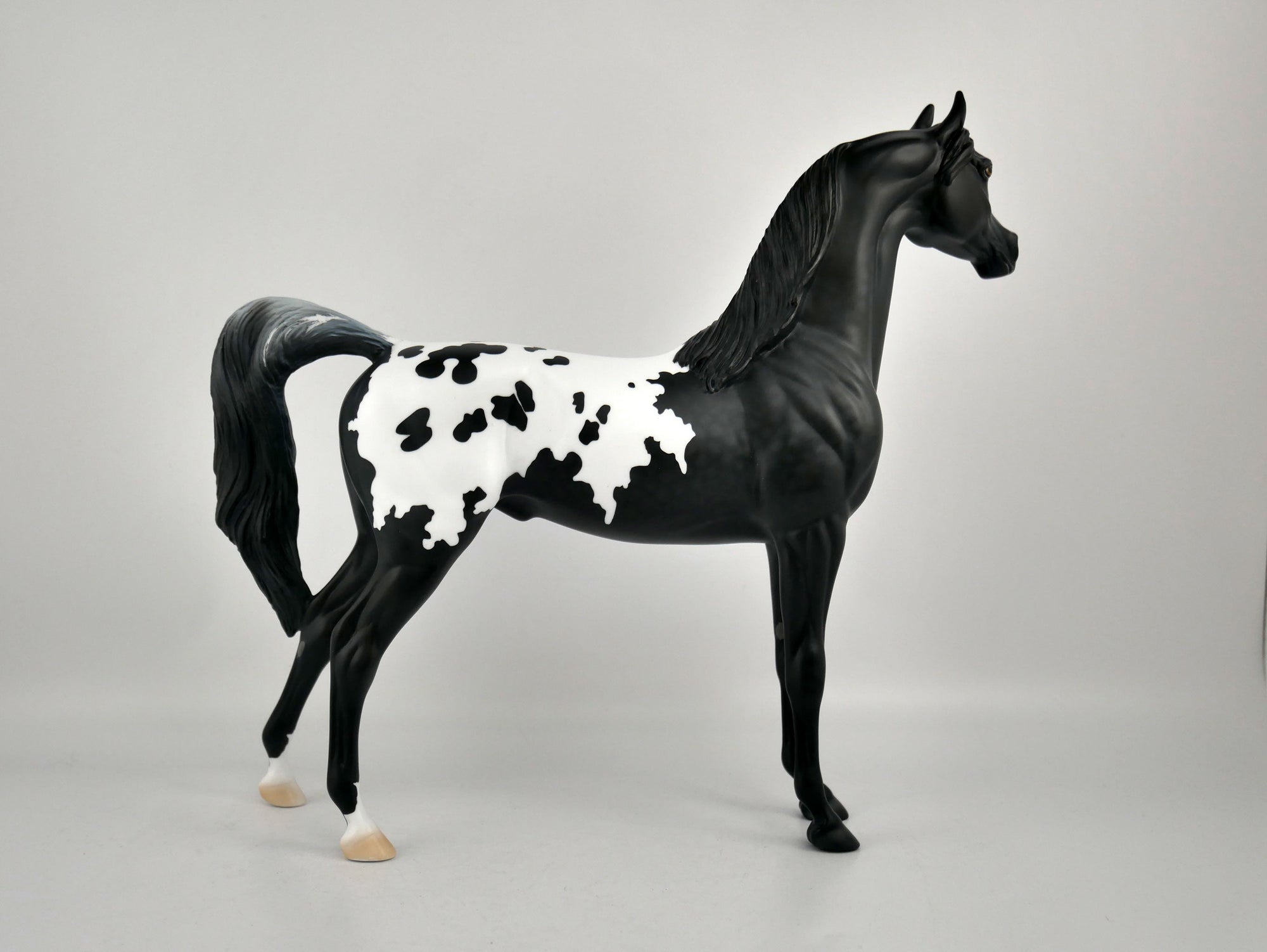 NIGHT STAR-OOAK BLACK BLANKET APPALOOSA  ARABIAN BY ELLEN ROBBINS 12/09/20