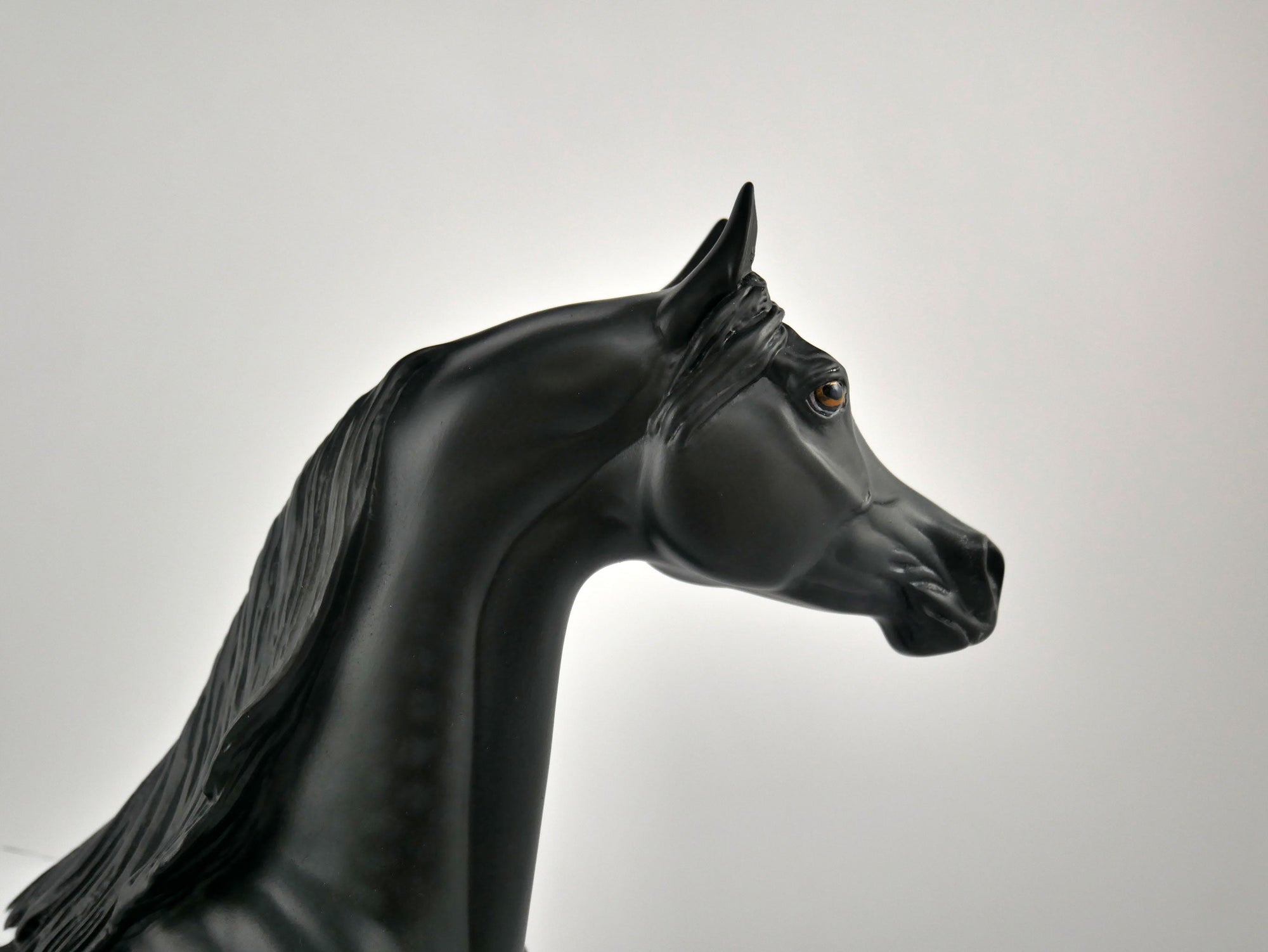 NIGHT STAR-OOAK BLACK BLANKET APPALOOSA  ARABIAN BY ELLEN ROBBINS 12/09/20