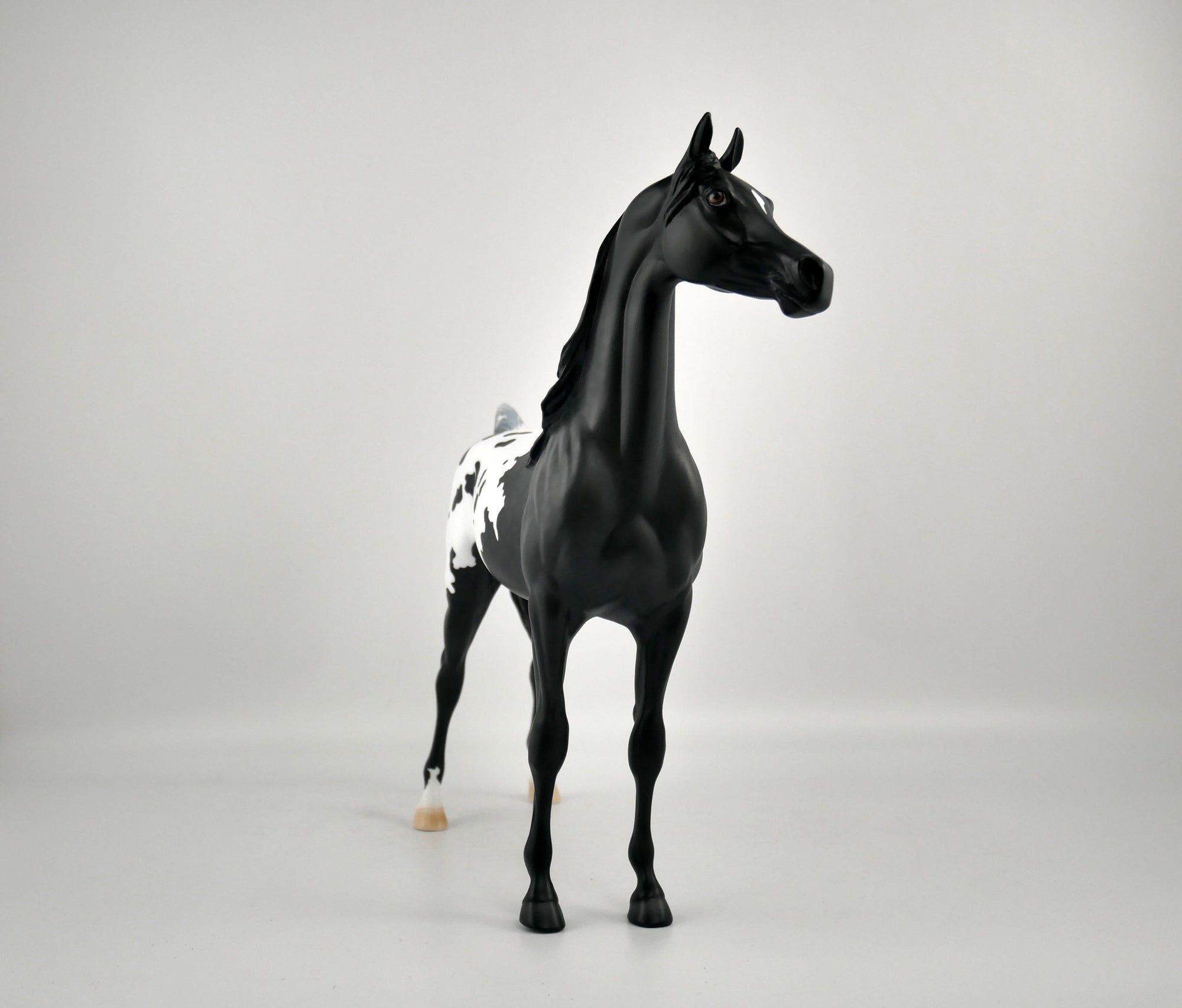 NIGHT STAR-OOAK BLACK BLANKET APPALOOSA  ARABIAN BY ELLEN ROBBINS 12/09/20