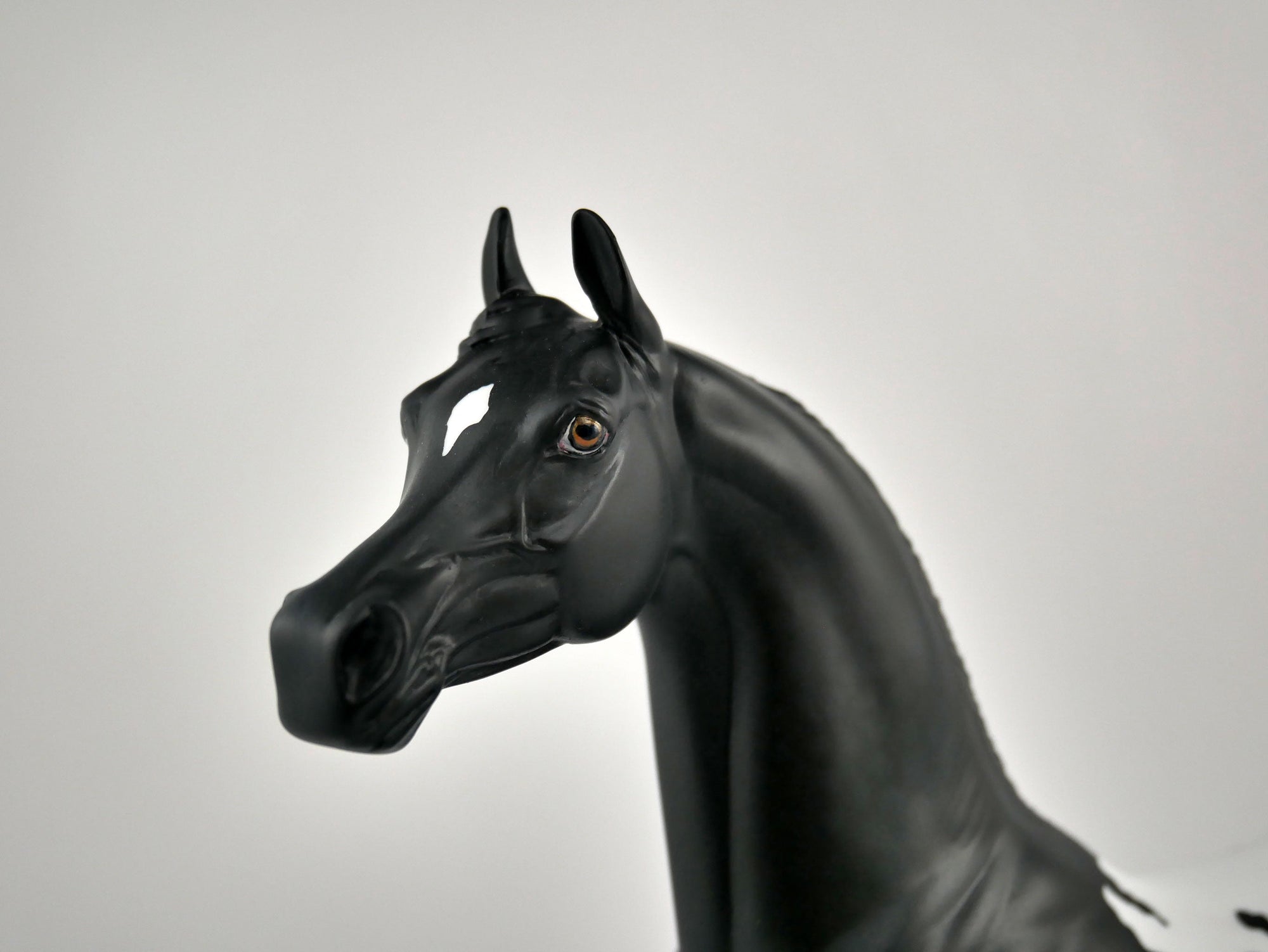NIGHT STAR-OOAK BLACK BLANKET APPALOOSA  ARABIAN BY ELLEN ROBBINS 12/09/20