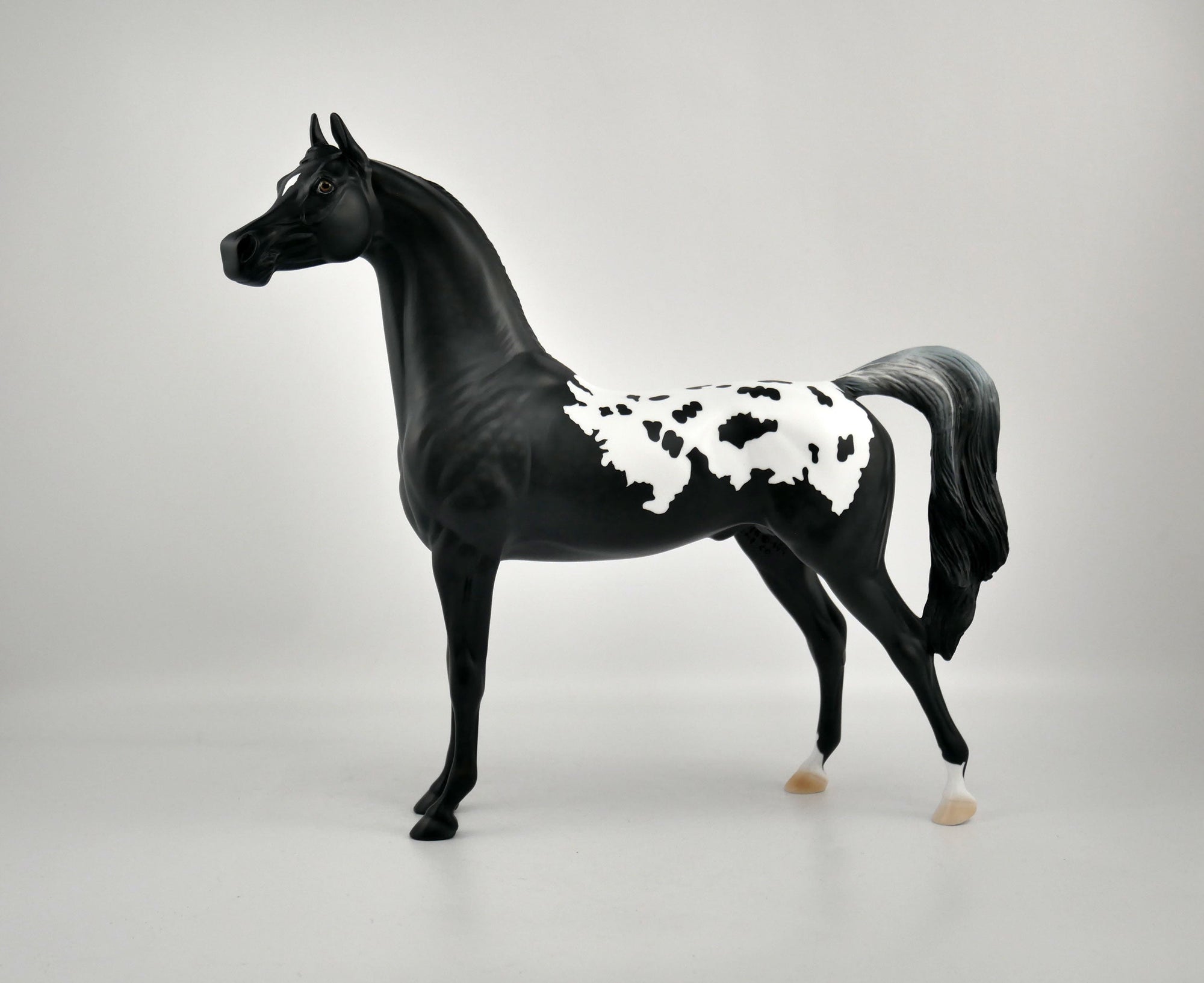 NIGHT STAR-OOAK BLACK BLANKET APPALOOSA  ARABIAN BY ELLEN ROBBINS 12/09/20