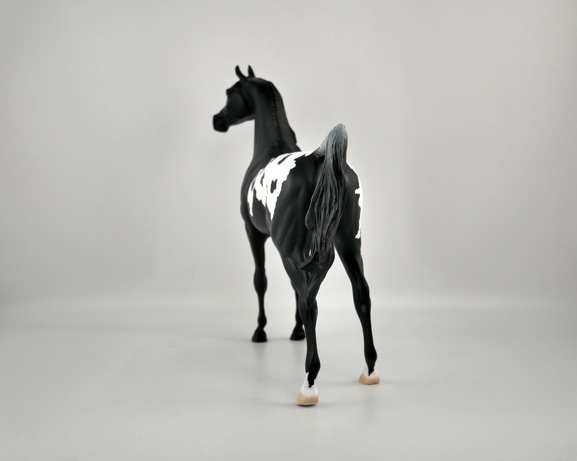 NIGHT STAR-OOAK BLACK BLANKET APPALOOSA  ARABIAN BY ELLEN ROBBINS 12/09/20