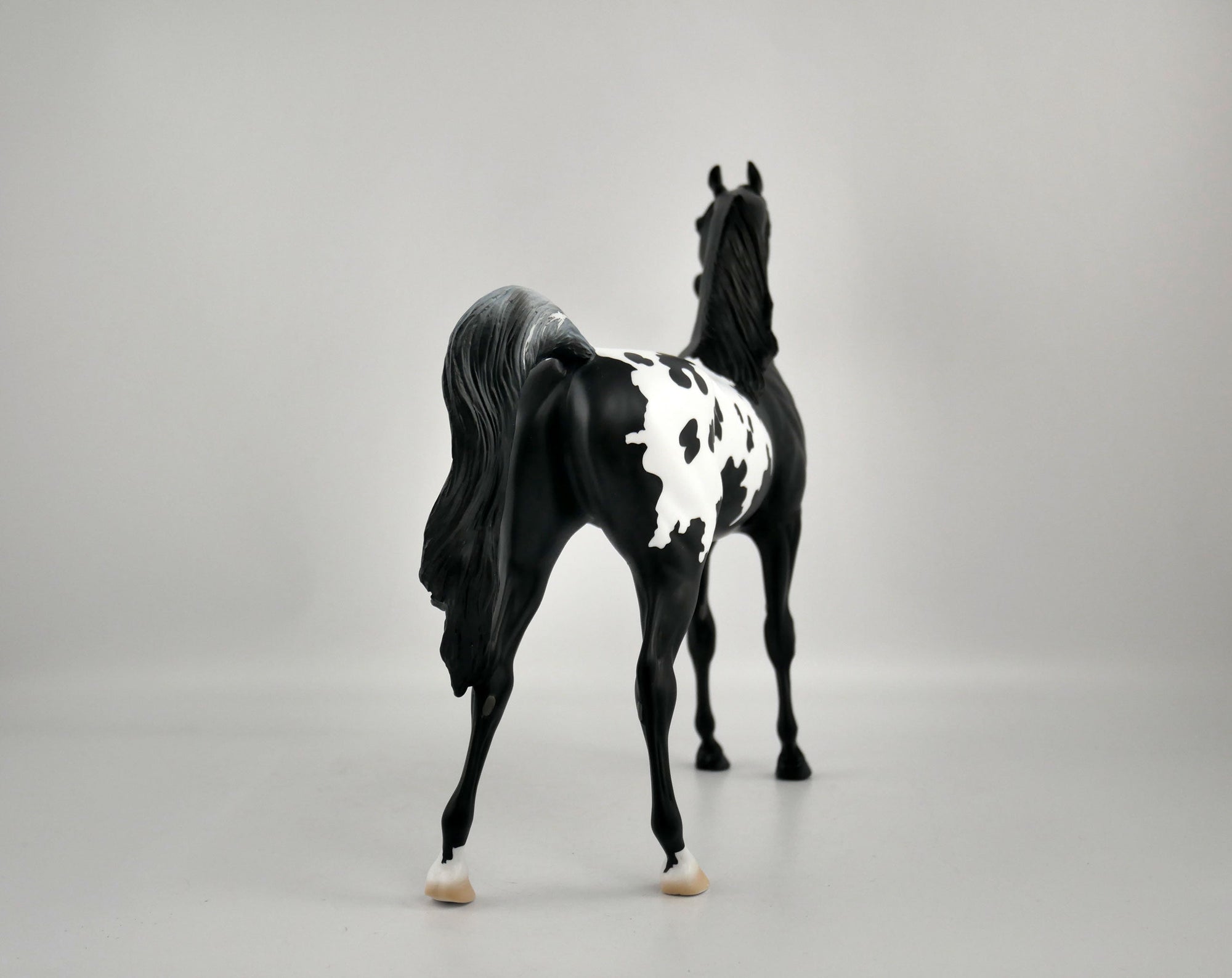 NIGHT STAR-OOAK BLACK BLANKET APPALOOSA  ARABIAN BY ELLEN ROBBINS 12/09/20