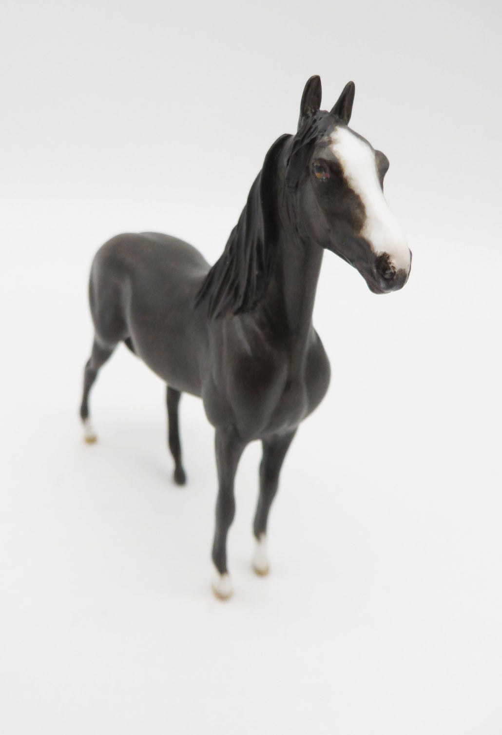 Night Fall - OOAK - Morgan Chip By Andrea Thomason - Christmas Tails 2022 - CT22