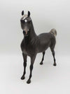 Night Magic - OOAK - Blue Taffy Arabian by Sheryl Leisure - Best Offers 2/27/23