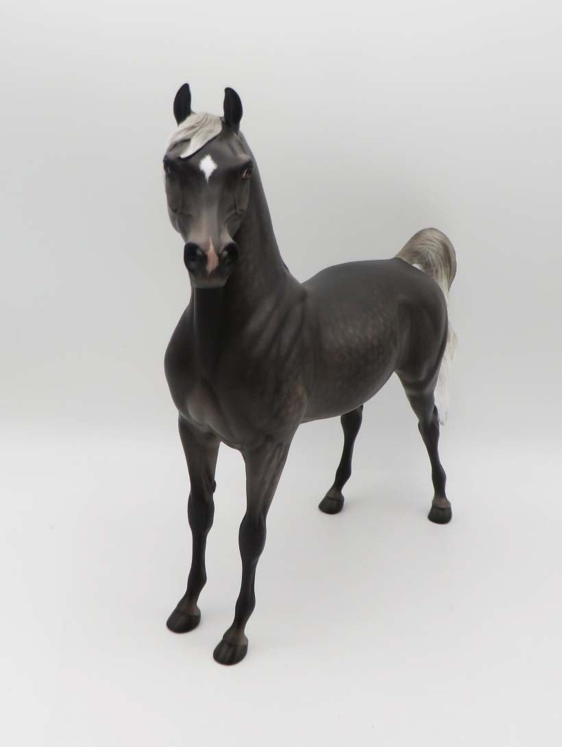 Night Magic - OOAK - Blue Taffy Arabian by Sheryl Leisure - Best Offers 2/27/23