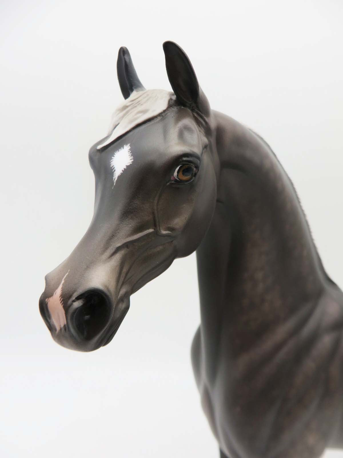 Night Magic - OOAK - Blue Taffy Arabian by Sheryl Leisure - Best Offers 2/27/23