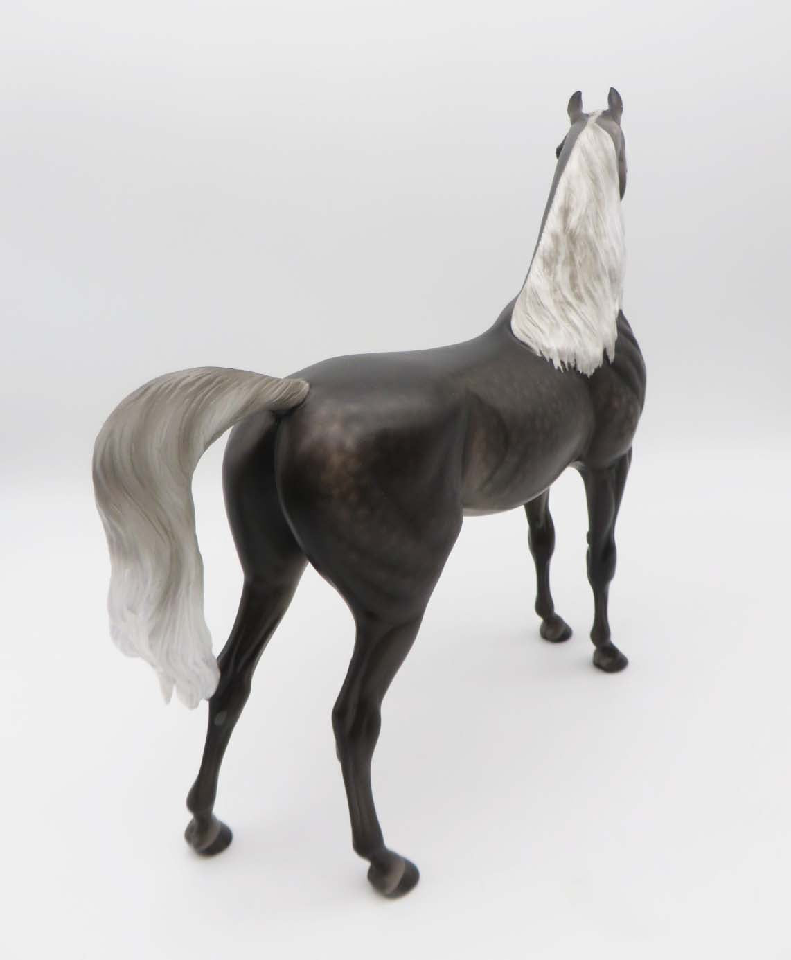 Night Magic - OOAK - Blue Taffy Arabian by Sheryl Leisure - Best Offers 2/27/23