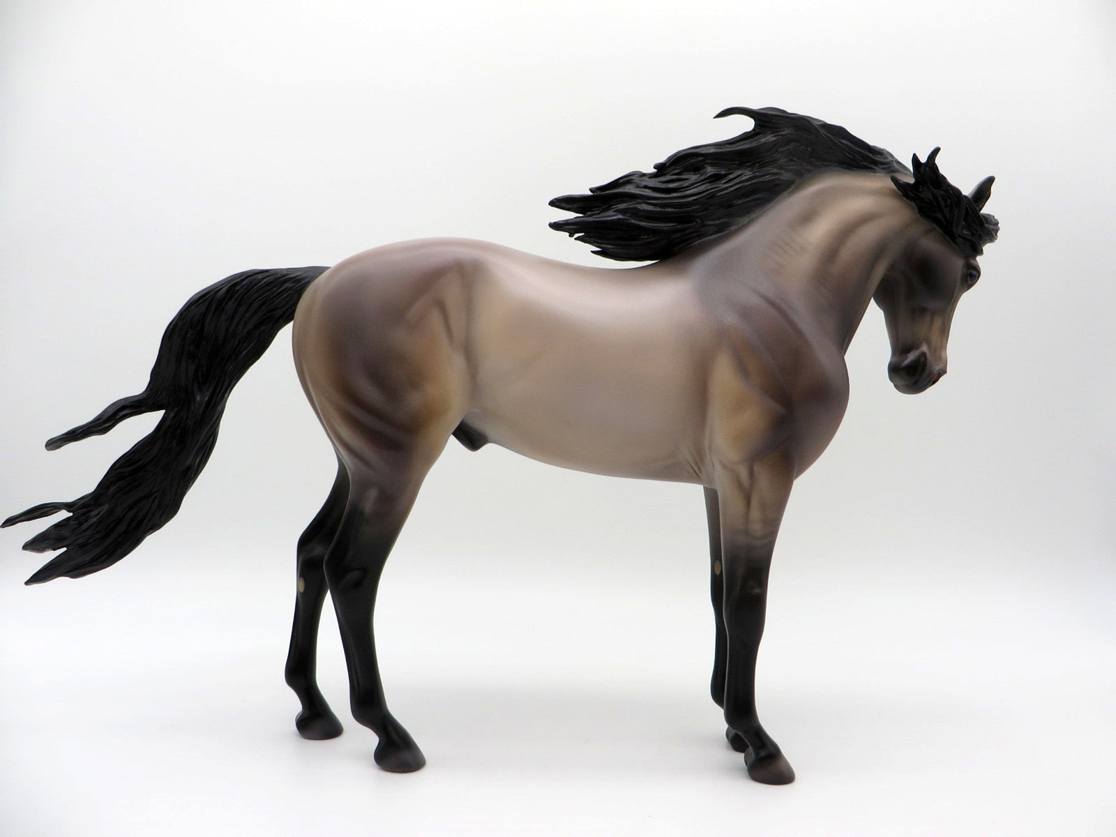 Niles-OOAK Grulla Andalusian By Caroline Boydston 4/5/21