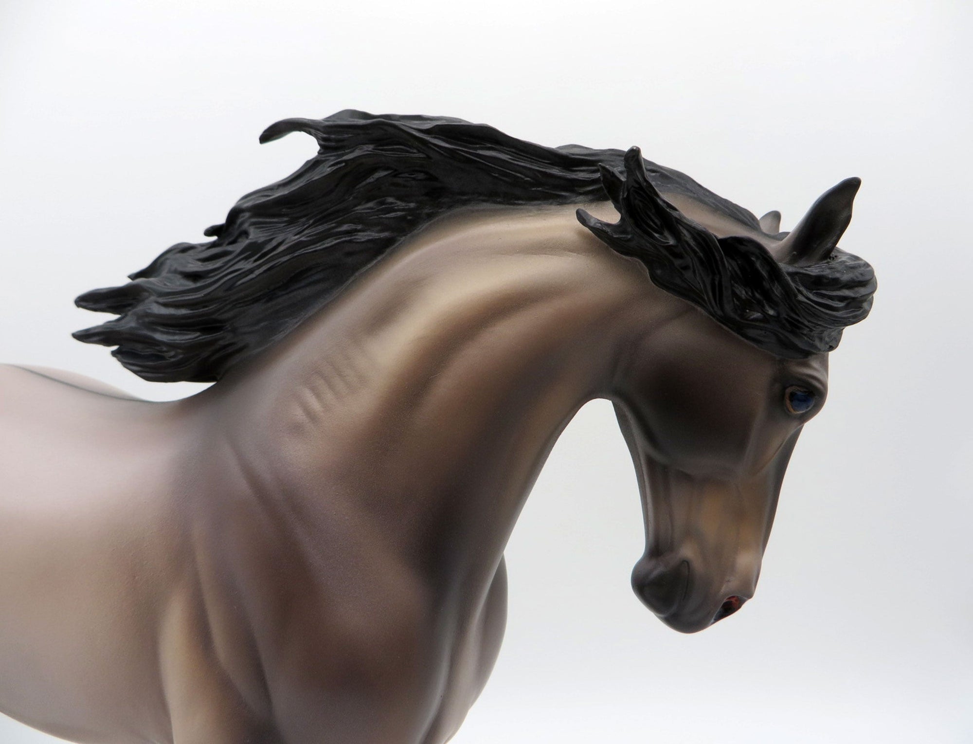 Niles-OOAK Grulla Andalusian By Caroline Boydston 4/5/21