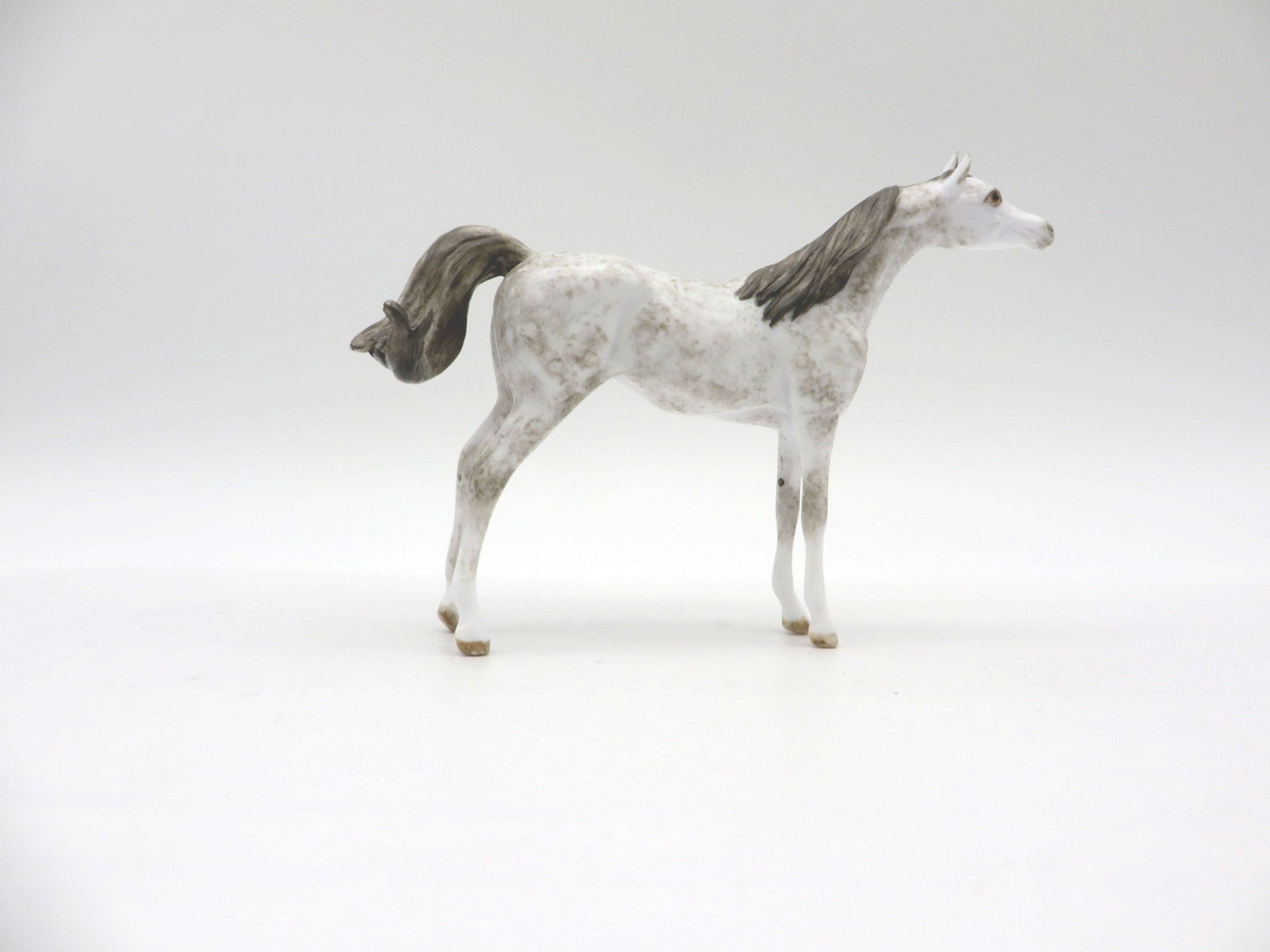 NiMBUS-OOAK Grey Arabian  Chip SHCF 2021