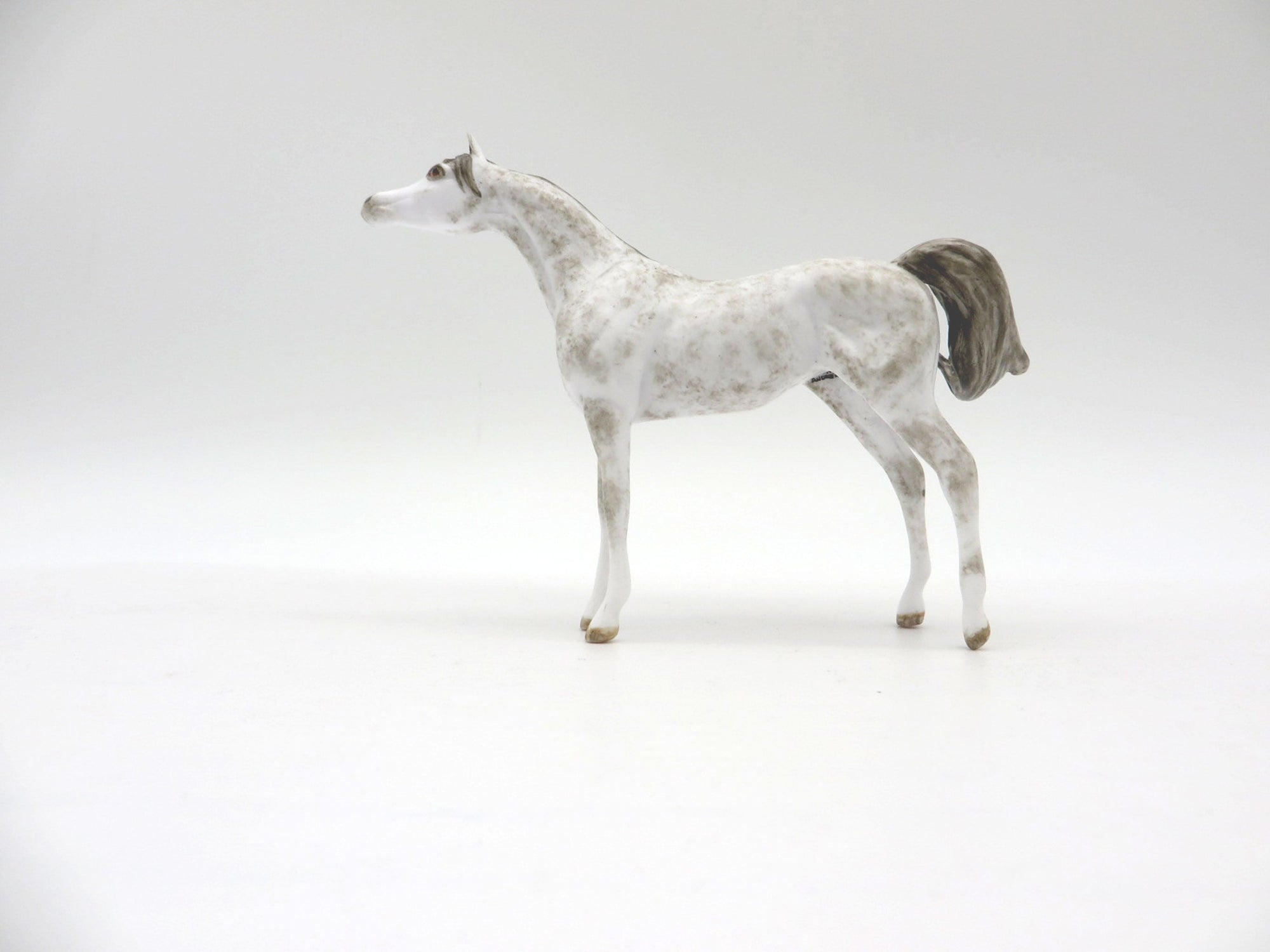 NiMBUS-OOAK Grey Arabian  Chip SHCF 2021