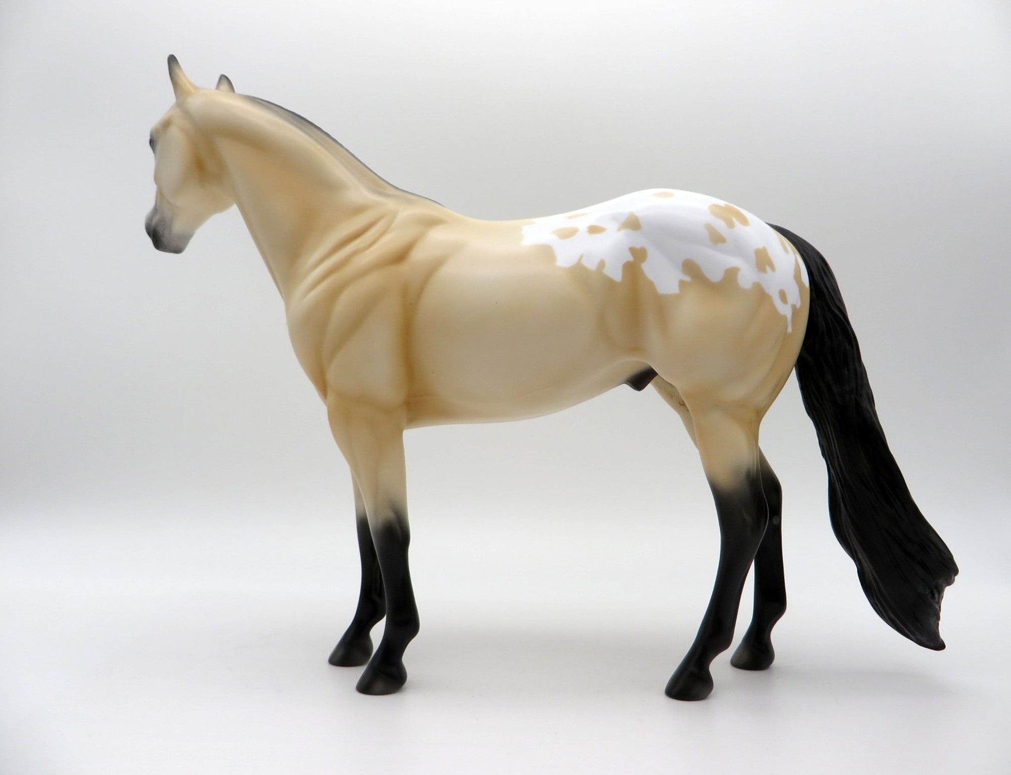 NOLAN-OOAK BUCKSKIN APPALOOSA ISH SHCF 2021