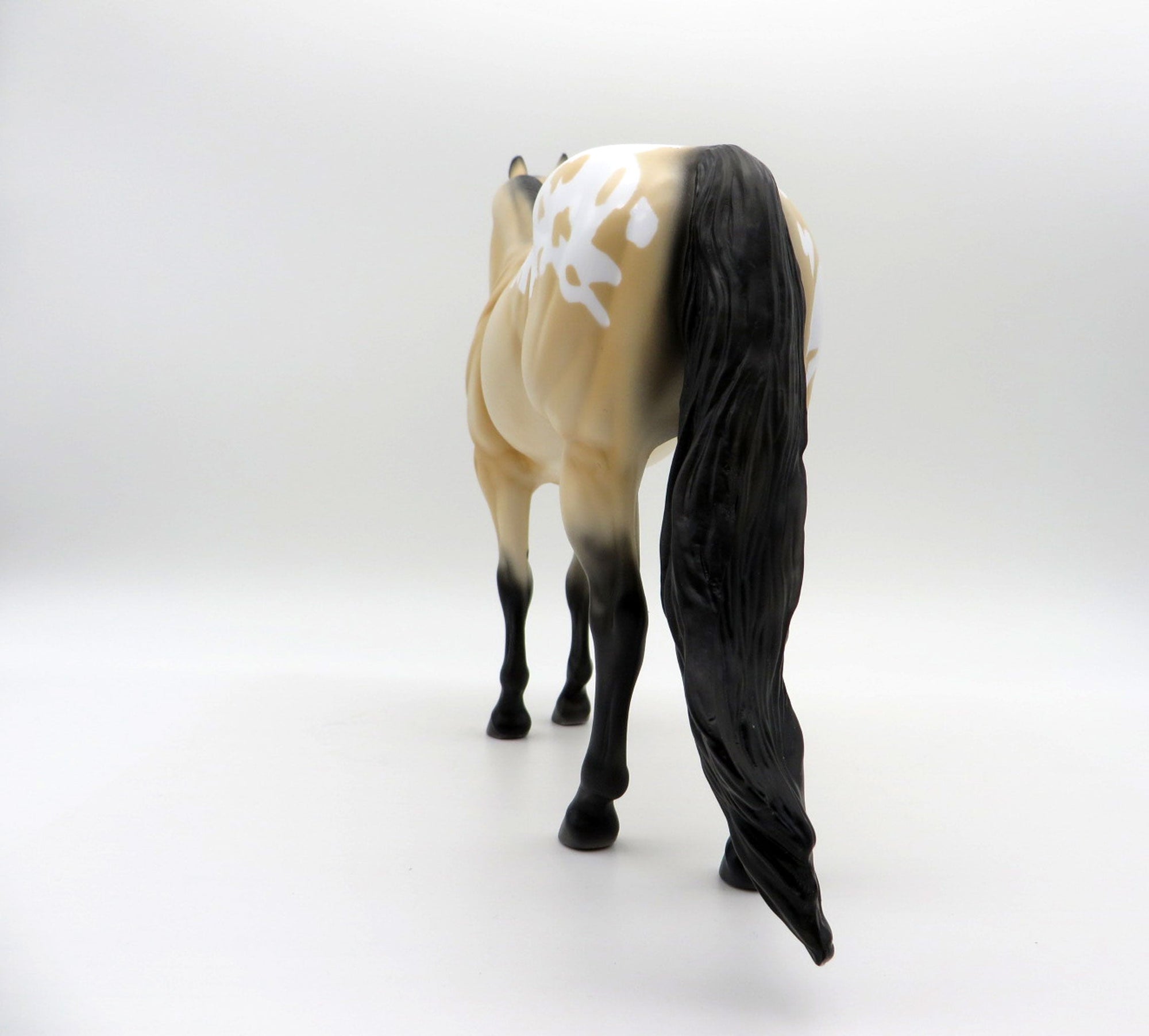 NOLAN-OOAK BUCKSKIN APPALOOSA ISH SHCF 2021