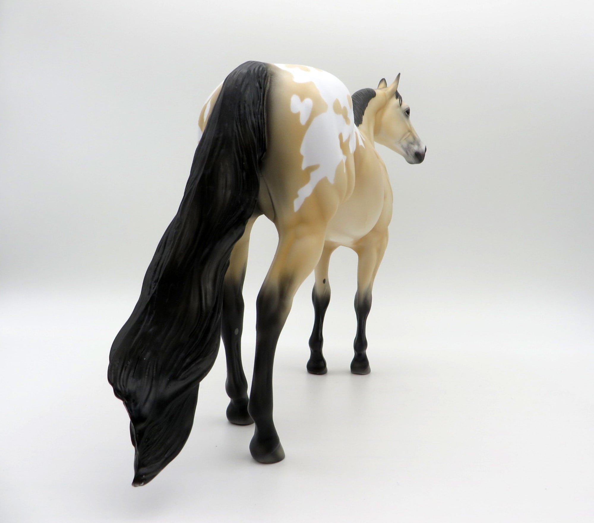 NOLAN-OOAK BUCKSKIN APPALOOSA ISH SHCF 2021