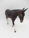 Noodles - OOAK - Bay Mule by Julie Keim - P&amp;C 23