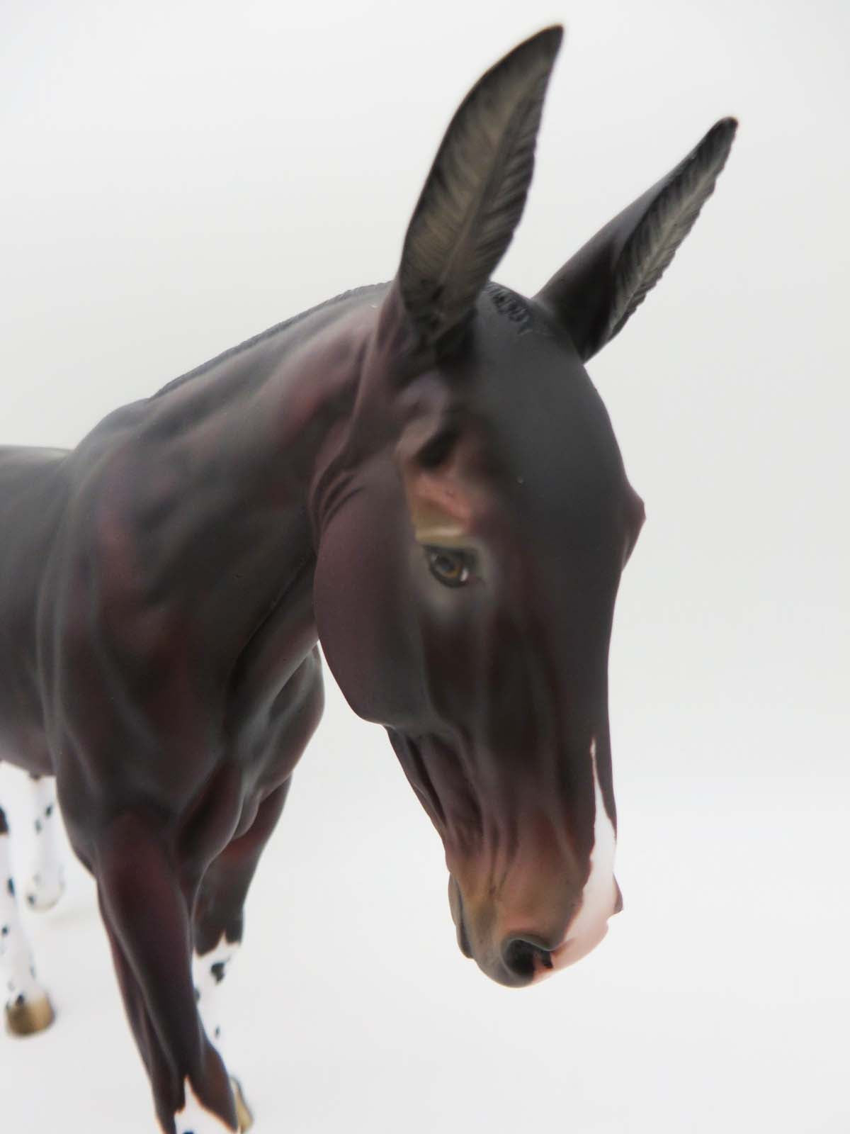 Noodles - OOAK - Bay Mule by Julie Keim - P&amp;C 23