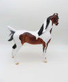 Not A Dog - Dappled Bay Tobiano Arabian Marwari By Ellen Robbins - P&amp;C 23