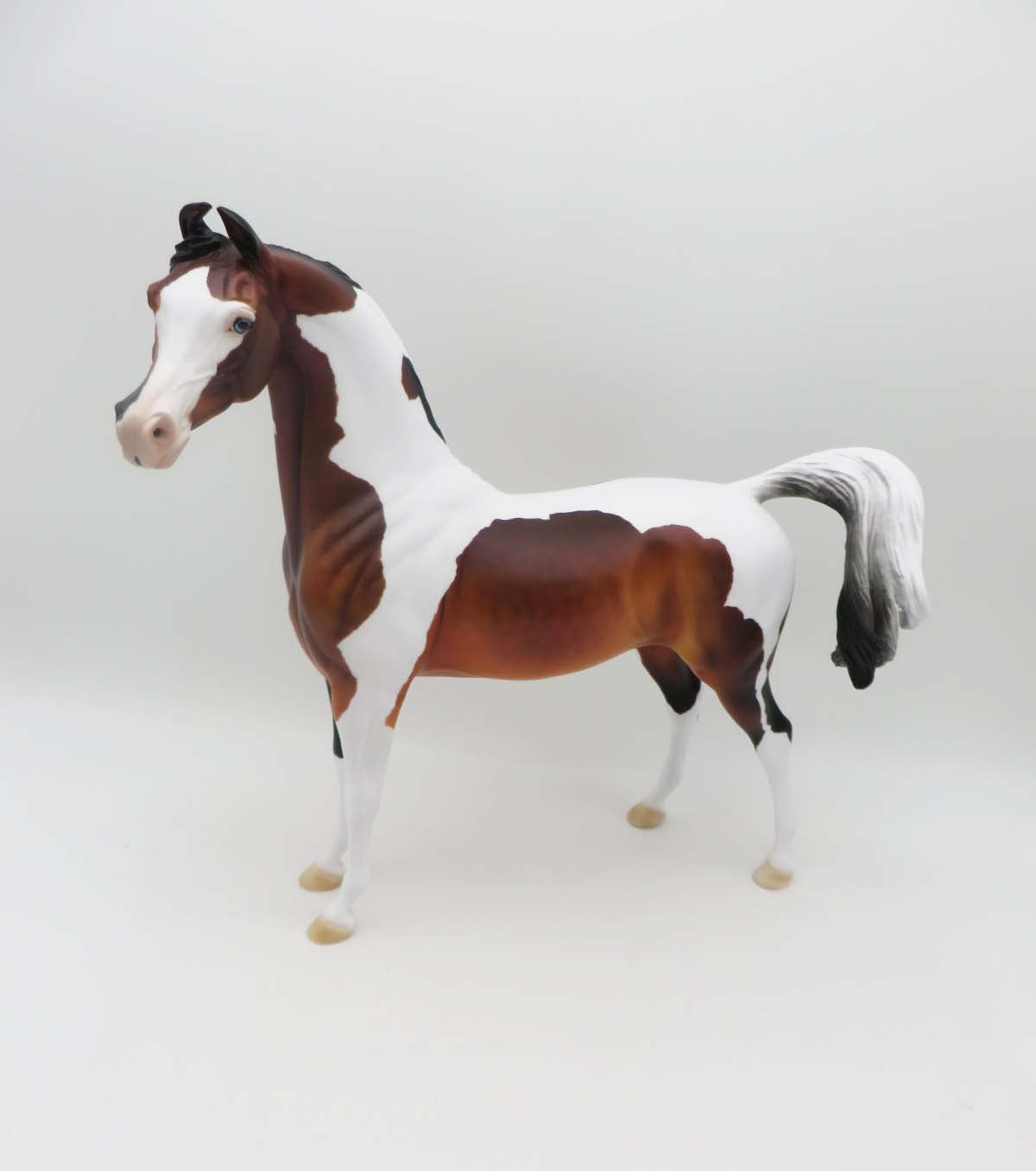 Not A Dog - Dappled Bay Tobiano Arabian Marwari By Ellen Robbins - P&C 23