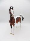 Not A Dog - Dappled Bay Tobiano Arabian Marwari By Ellen Robbins - P&amp;C 23